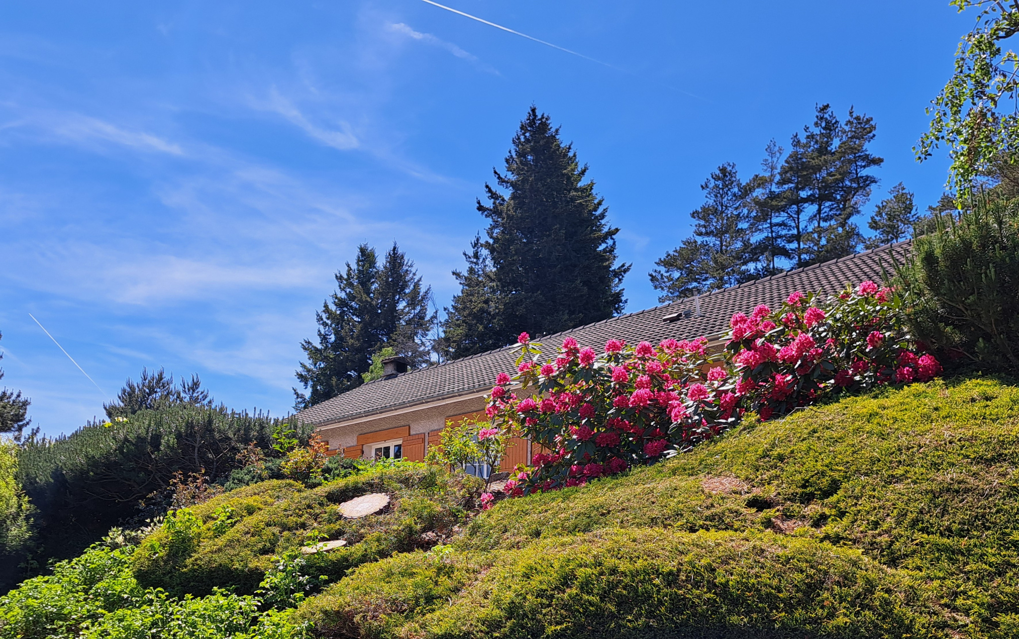 Tence/chenereilles jolie maison sur 4665 m2 de terrain