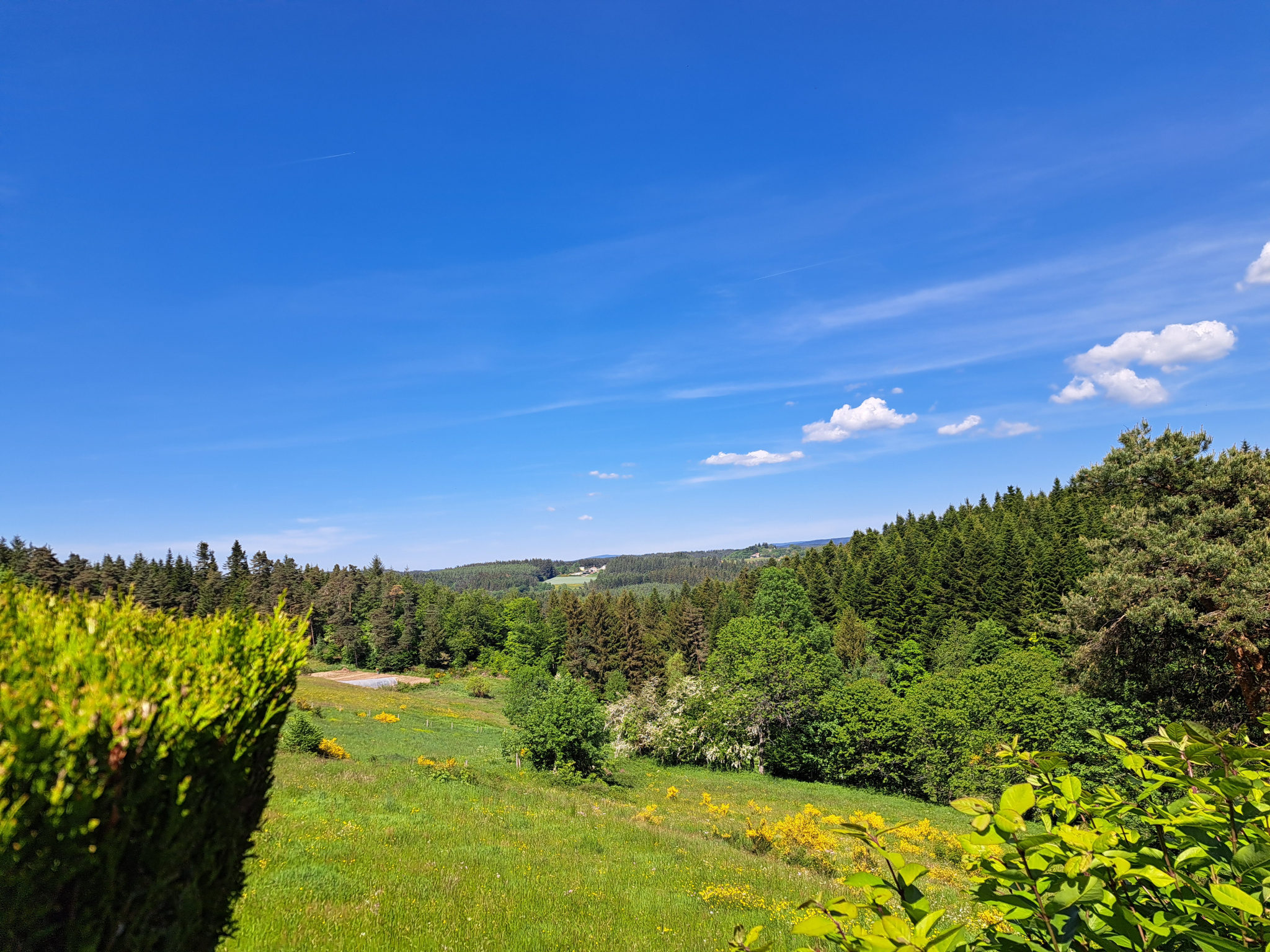 Tence/chenereilles jolie maison sur 4665 m2 de terrain