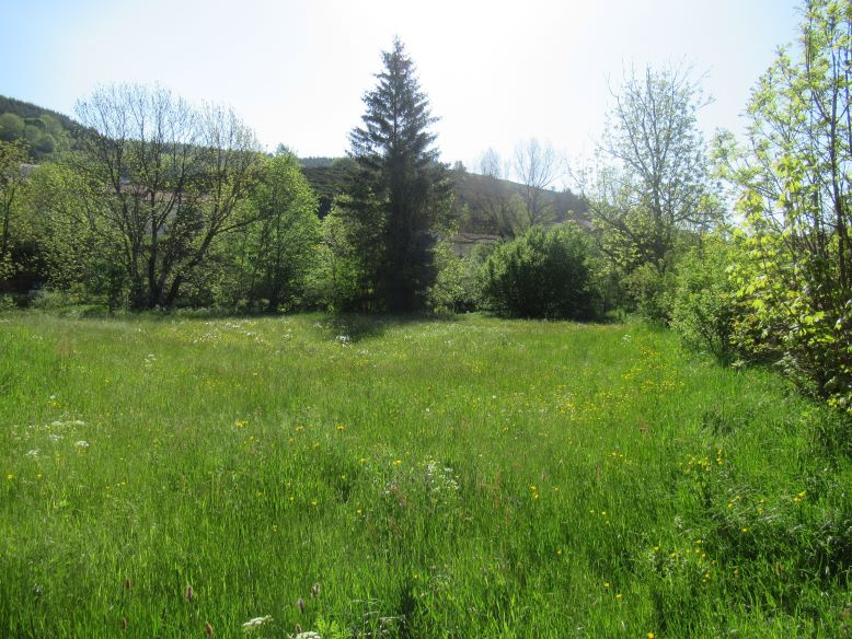 Grand garage avec terrain plat de 2 000 m2