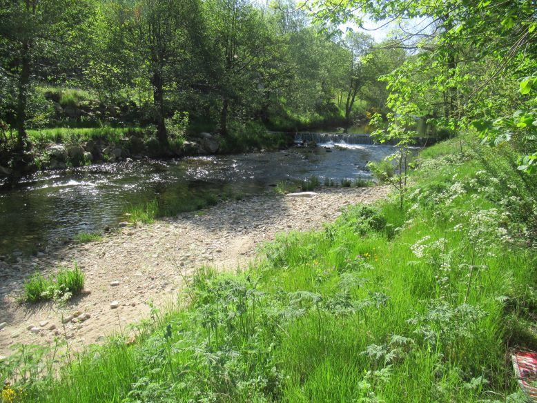 Grand garage avec terrain plat de 2 000 m2