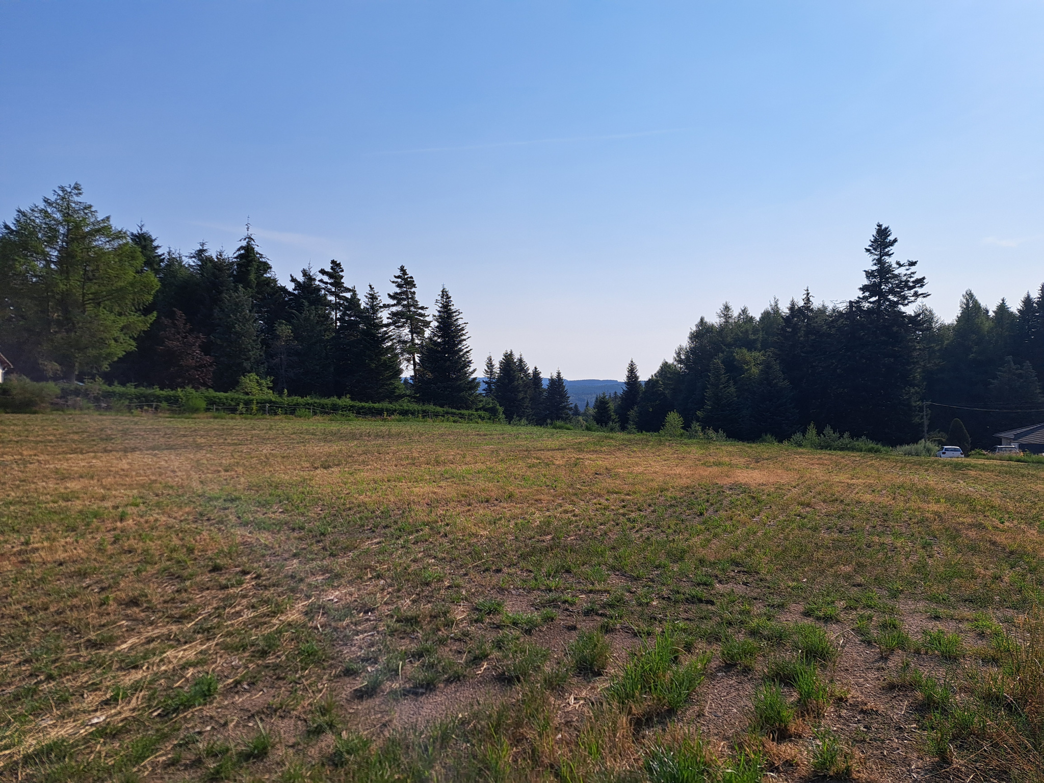 3 TERRAINS PROCHE DU GOLF DU CHAMBON SUR LIGNON