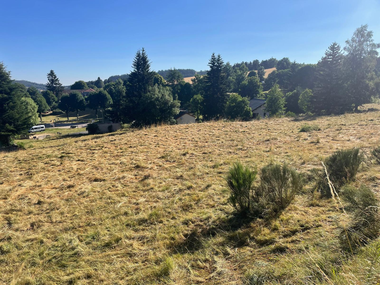 Terrain constructible de 6400 m2 avec certificat d'urbanisme - Possibilité de 4 maisons