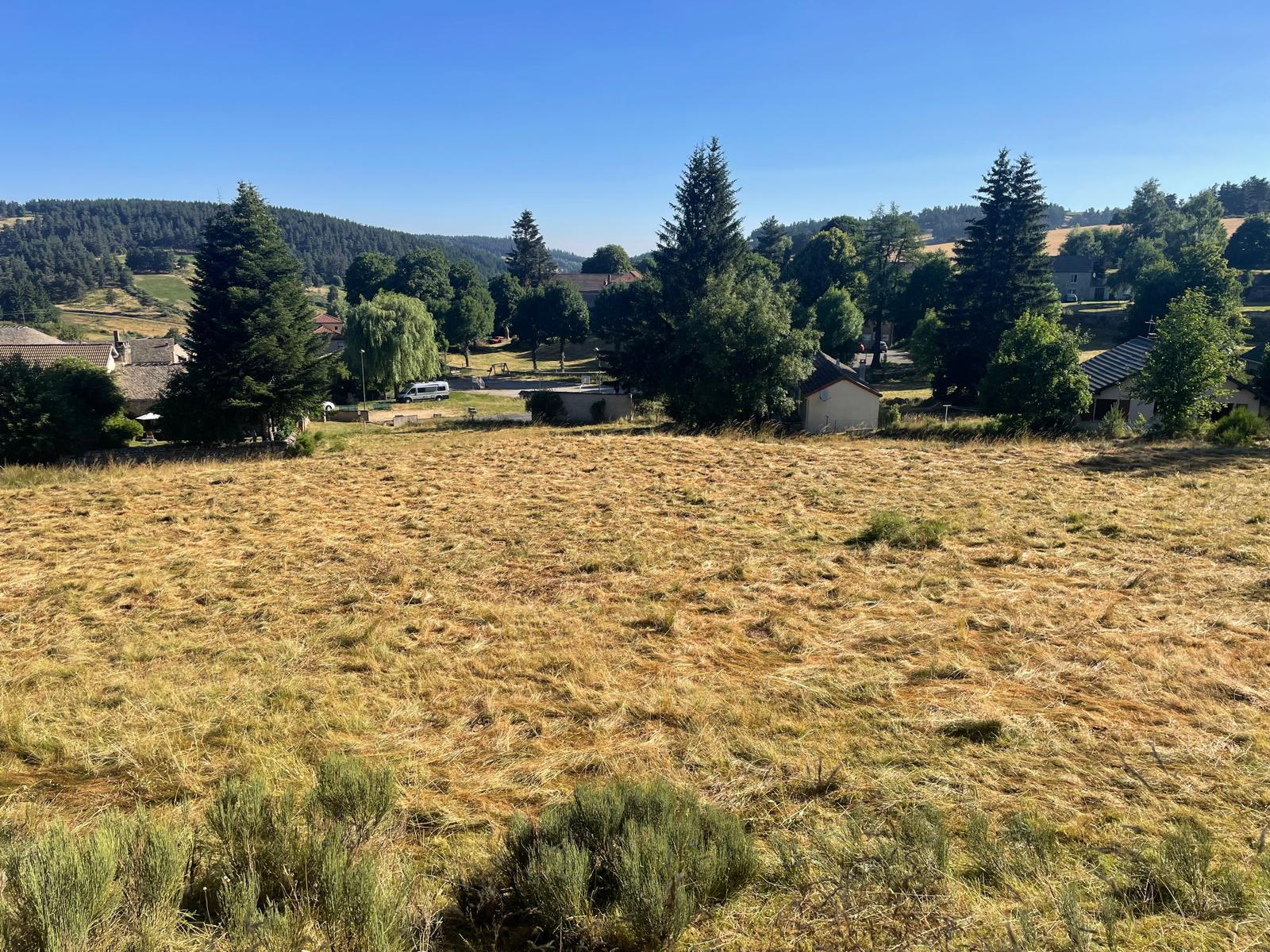 Terrain constructible de 6400 m2 avec certificat d'urbanisme - Possibilité de 4 maisons
