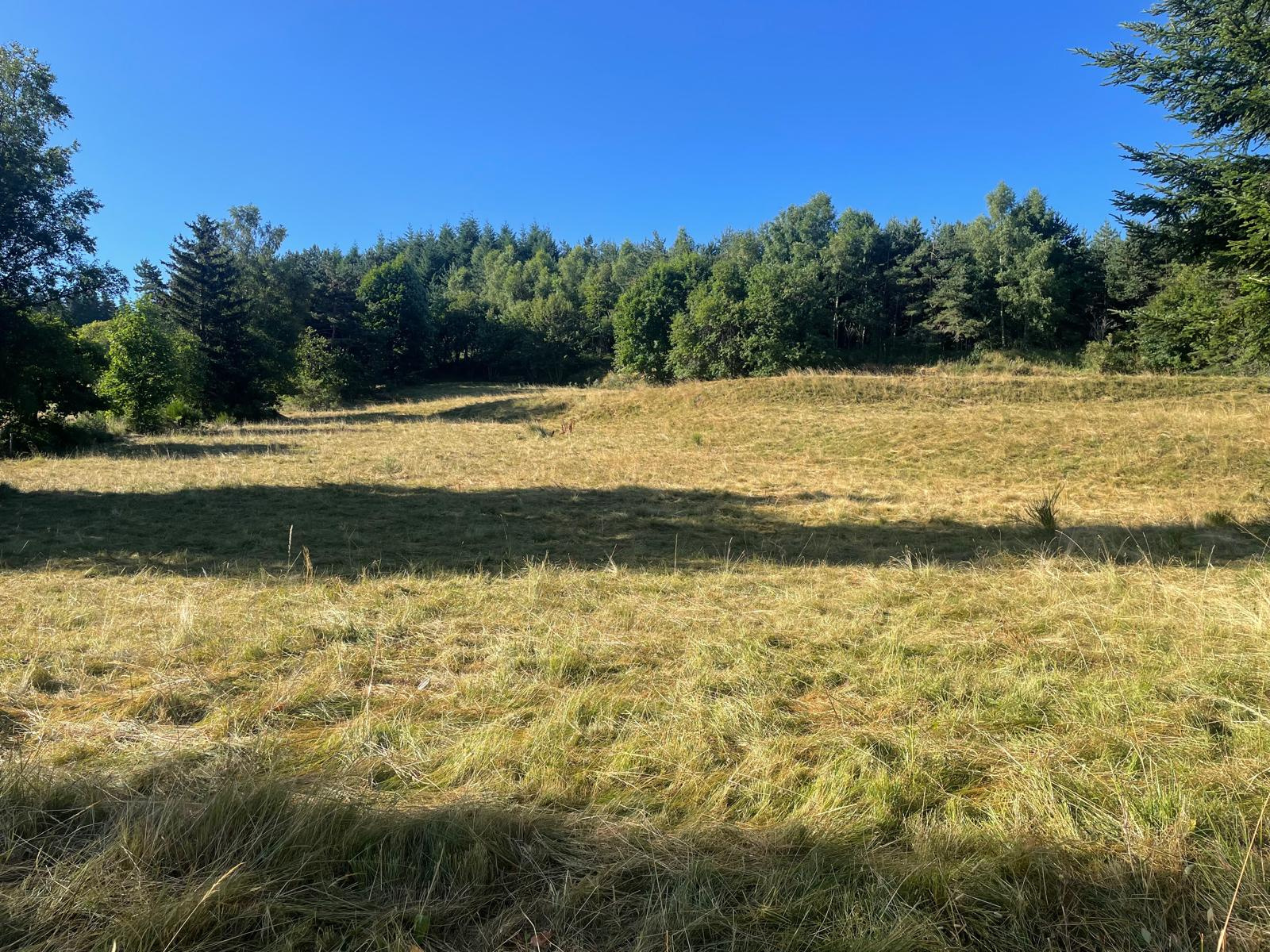 Terrain constructible de 6400 m2 avec certificat d'urbanisme - Possibilité de 4 maisons