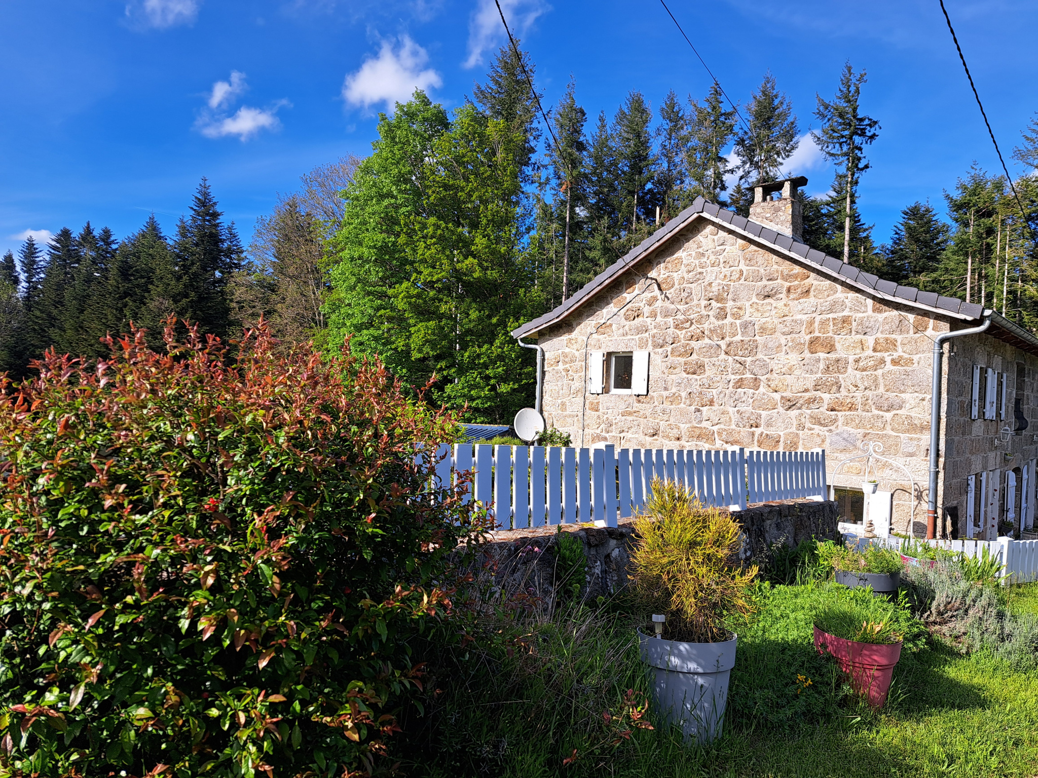 Ferme rénovée  entre Saint-jeures, le Mazet Saint Voy, Tence sise sur  2850m2