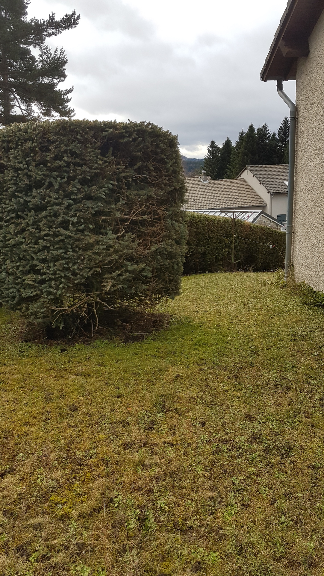 Maison à louer   Chambon-sur-Lignon