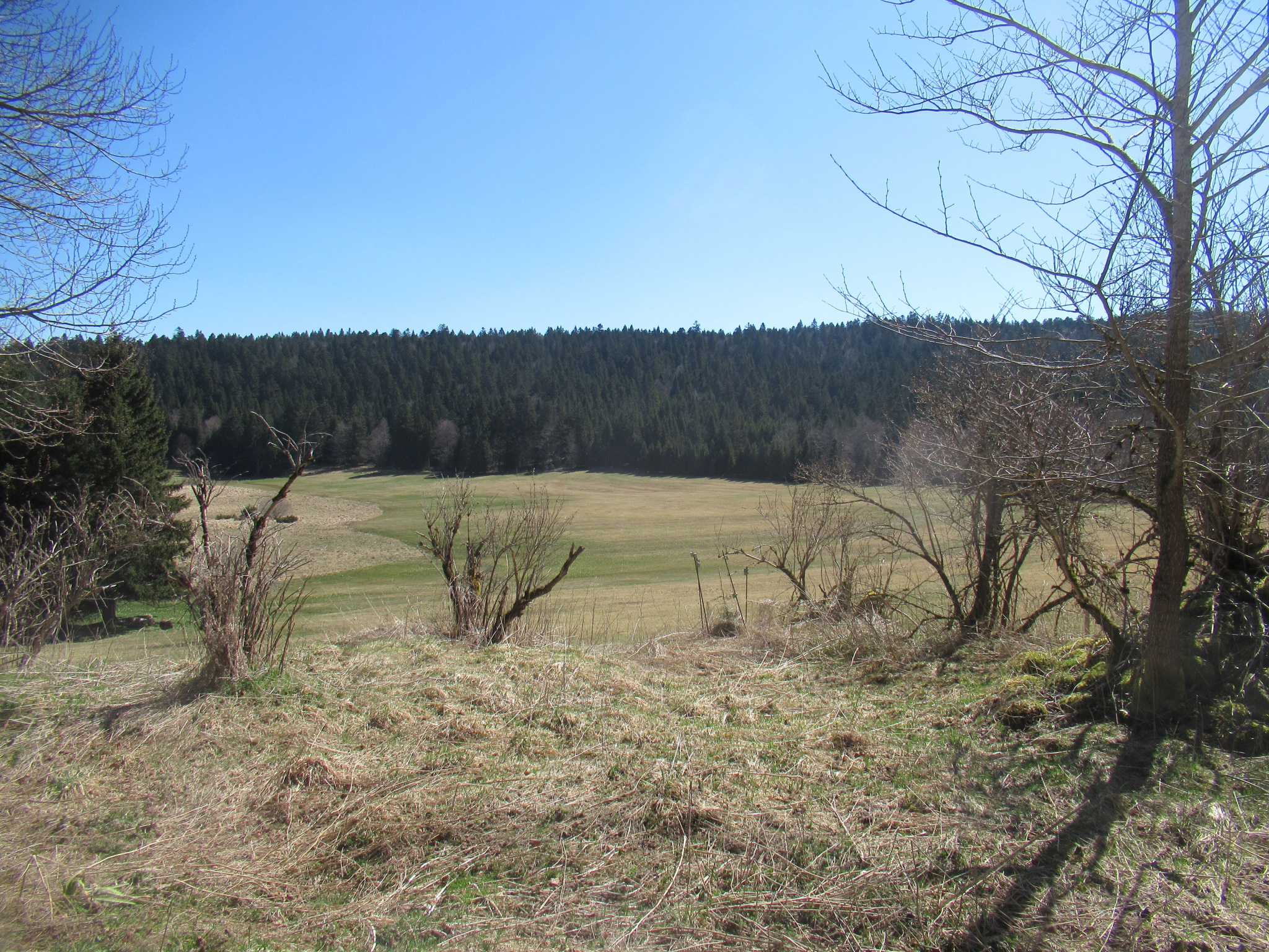 Maison en pierres avec terrain attenant