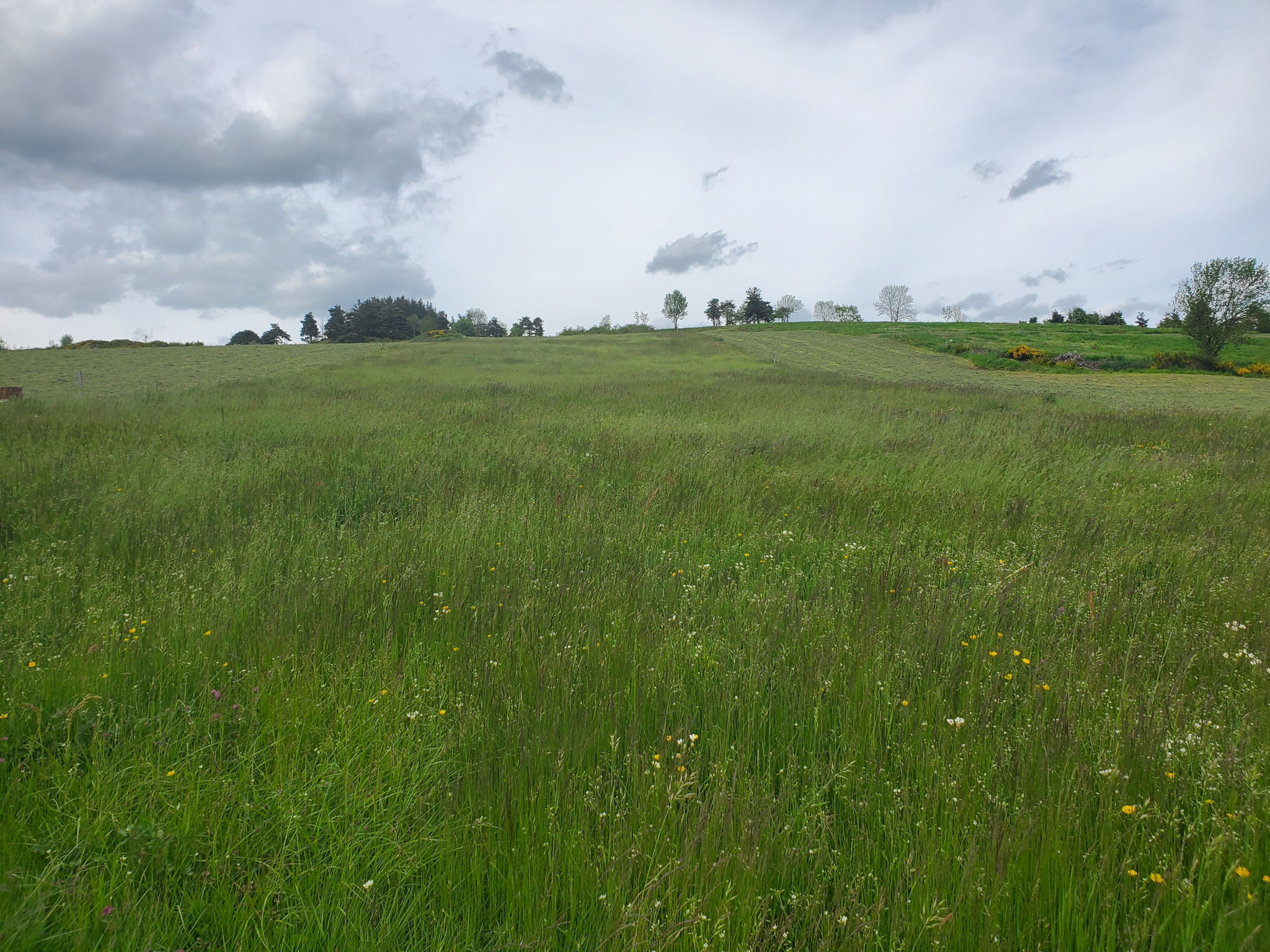 Joli terrain constructible