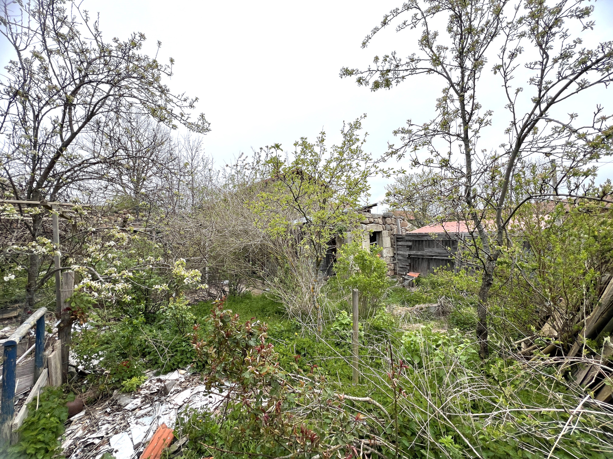 Maison en pierre avec terrain