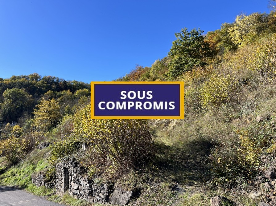 Terrain à bâtir