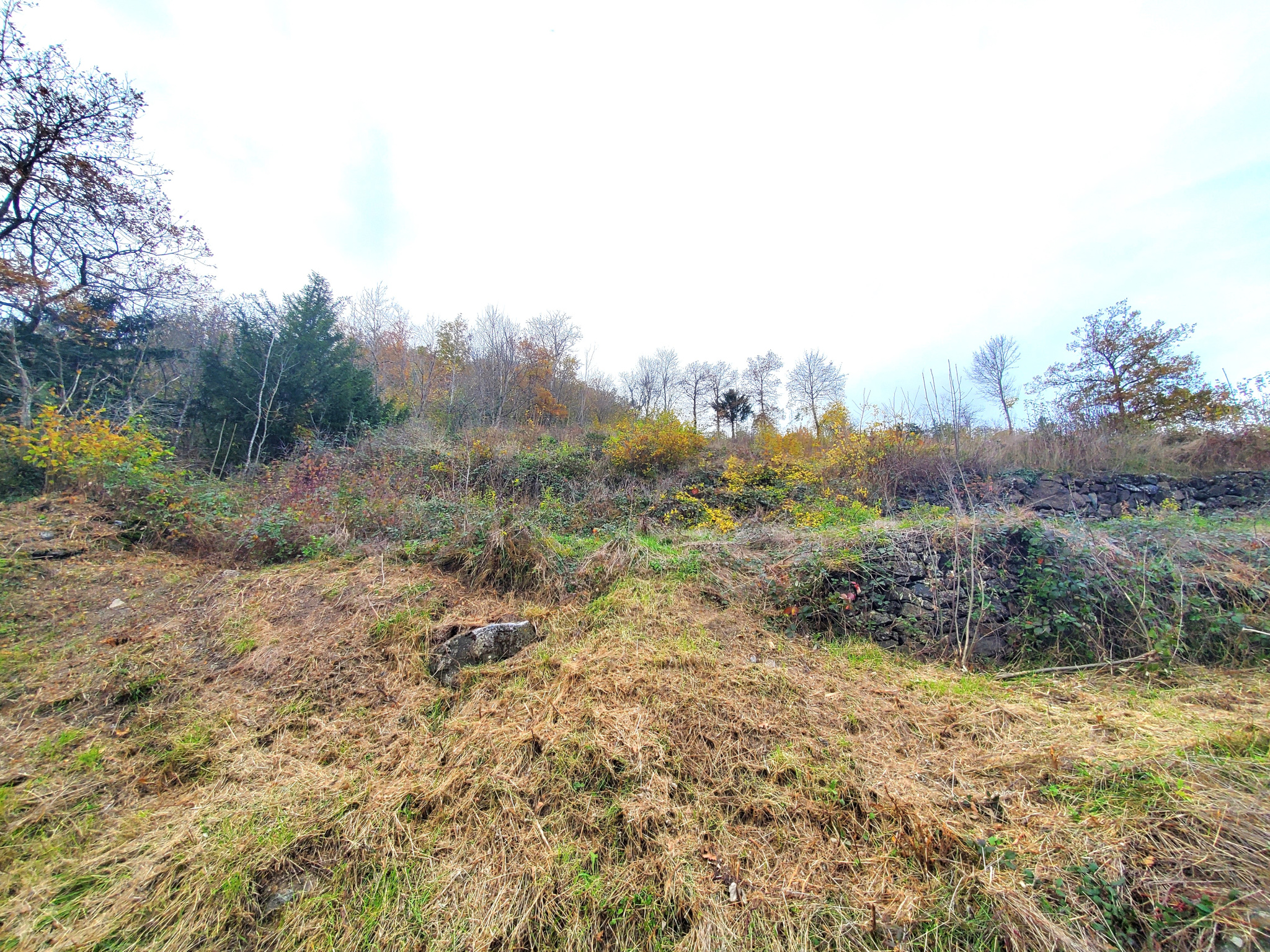 Terrain à bâtir