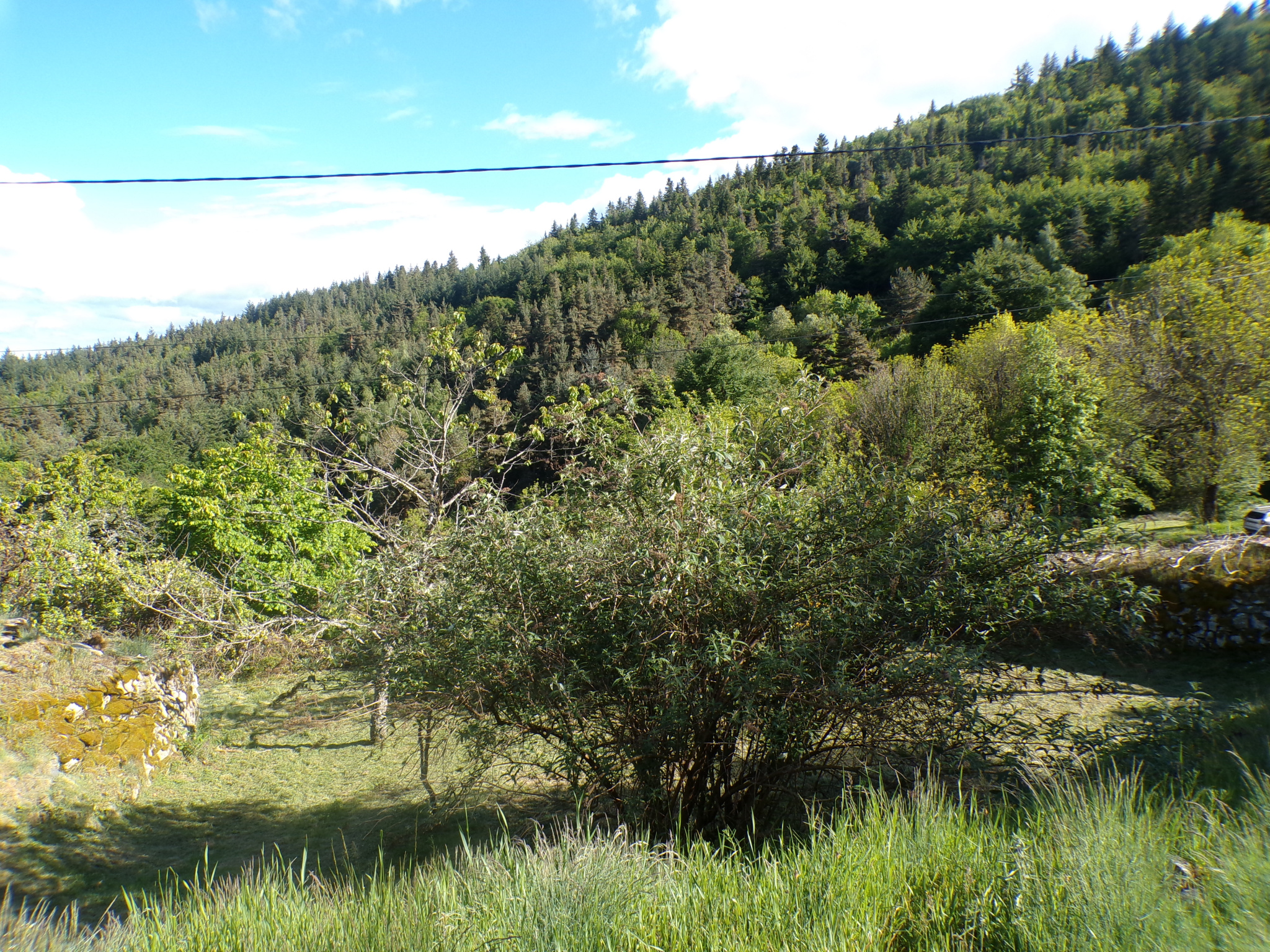 Ancienne ferme en pierre avec vue panoramique Fort potentiel Rochepaule