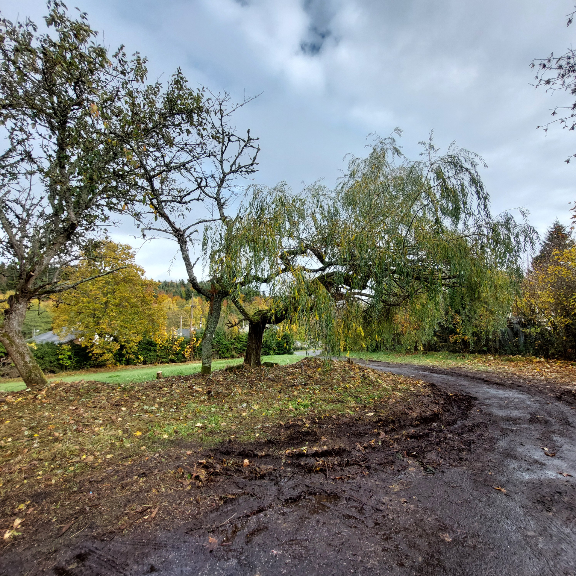 Belle maison familiale 2405 m2 de terrain sous-sol complet et dépendances
