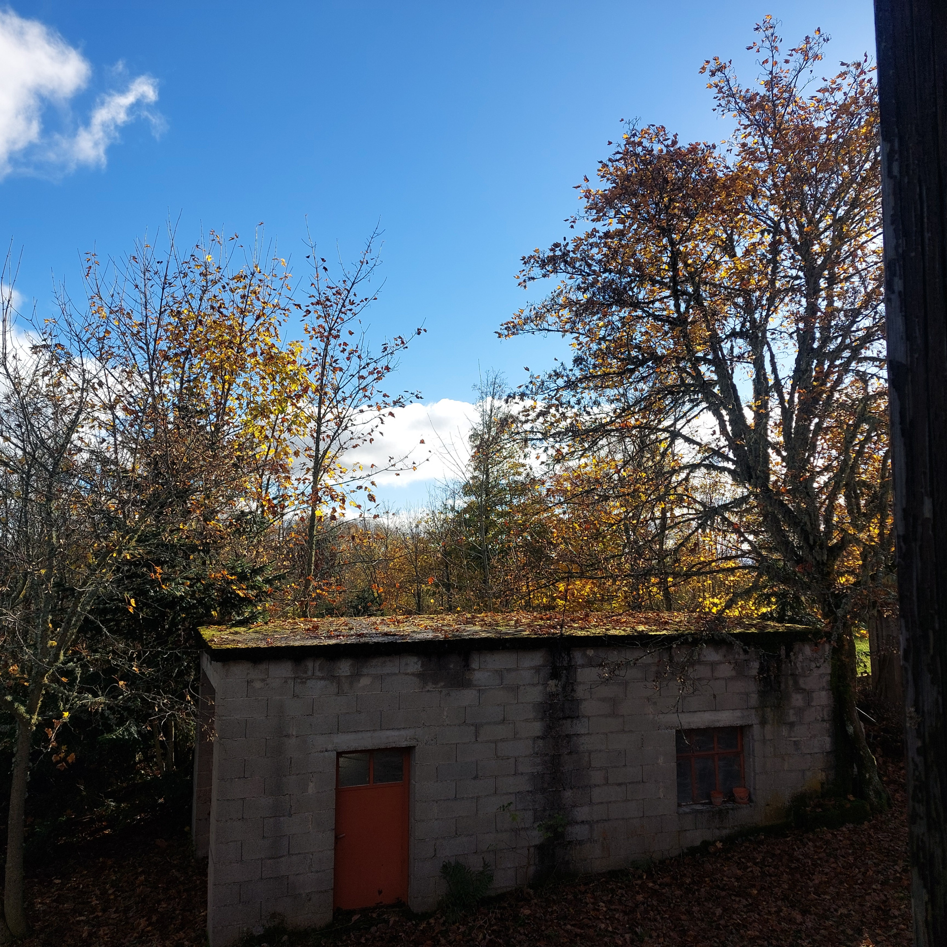 Belle maison familiale 2405 m2 de terrain sous-sol complet et dépendances