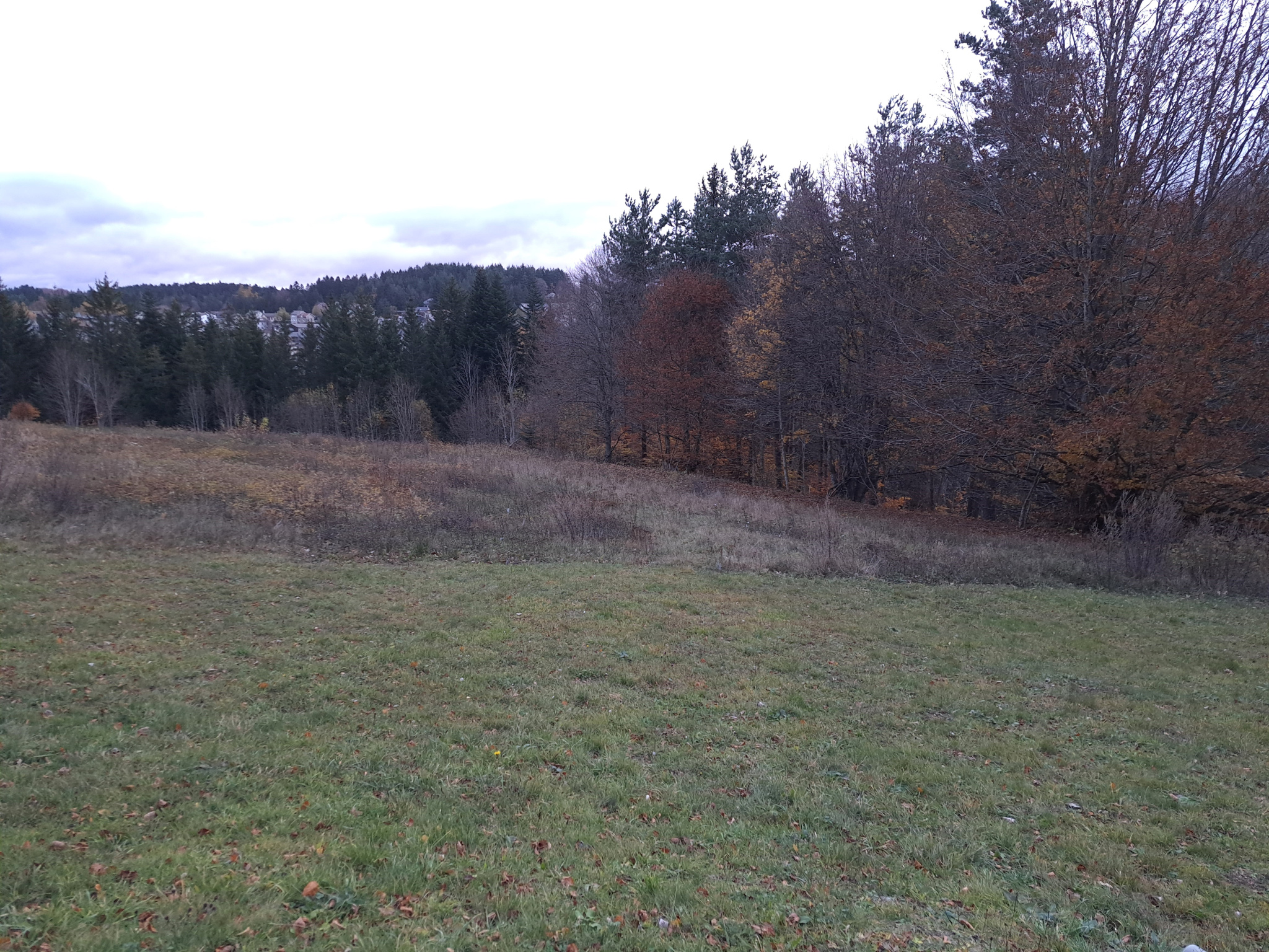 Terrain 1000m2 environ  proche du centre