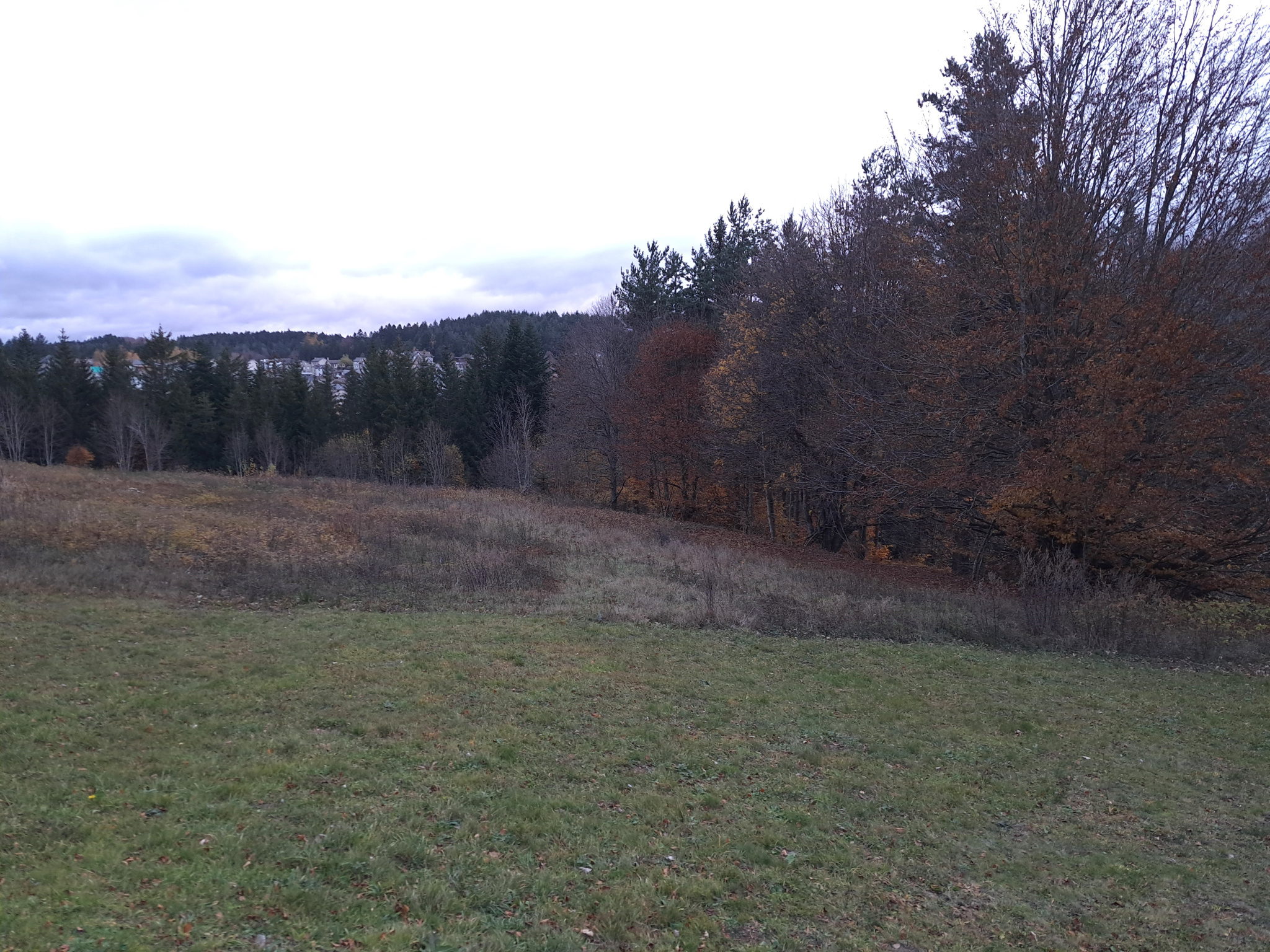 Terrain 1000m2 environ  proche du centre