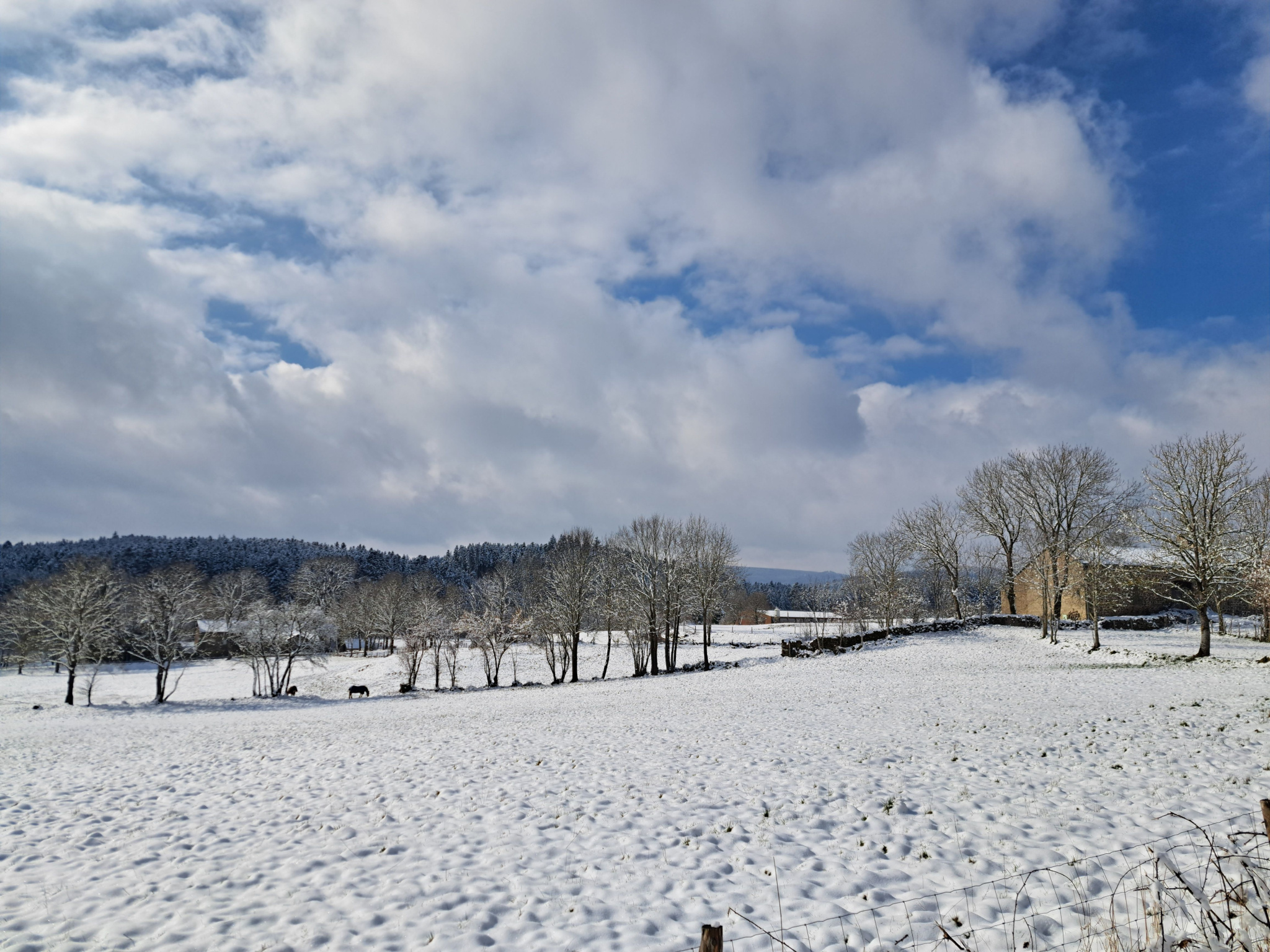 TENCE FERME EN PIERRE A RENOVER TERRAIN 2464 m2