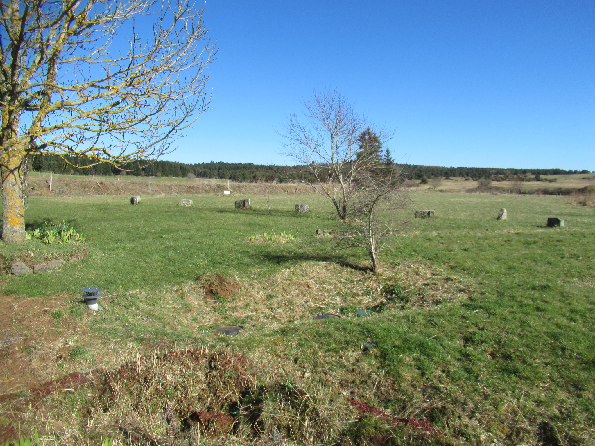 Ancienne ferme rénovée avec terrain attenant