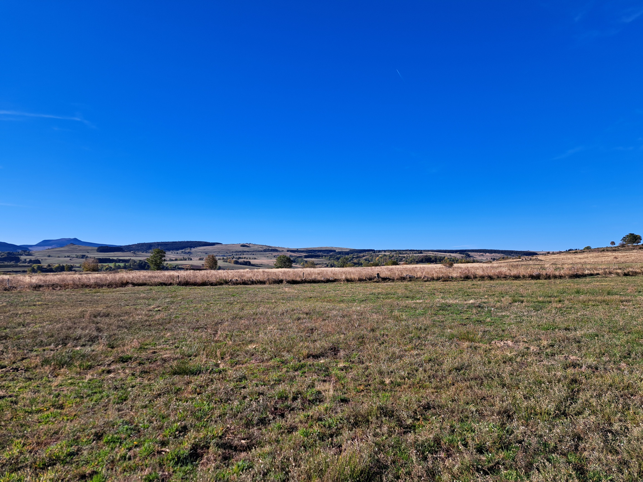 Ancienne petite chaumière au toit de lauzes sur 6000 m2 de terrain