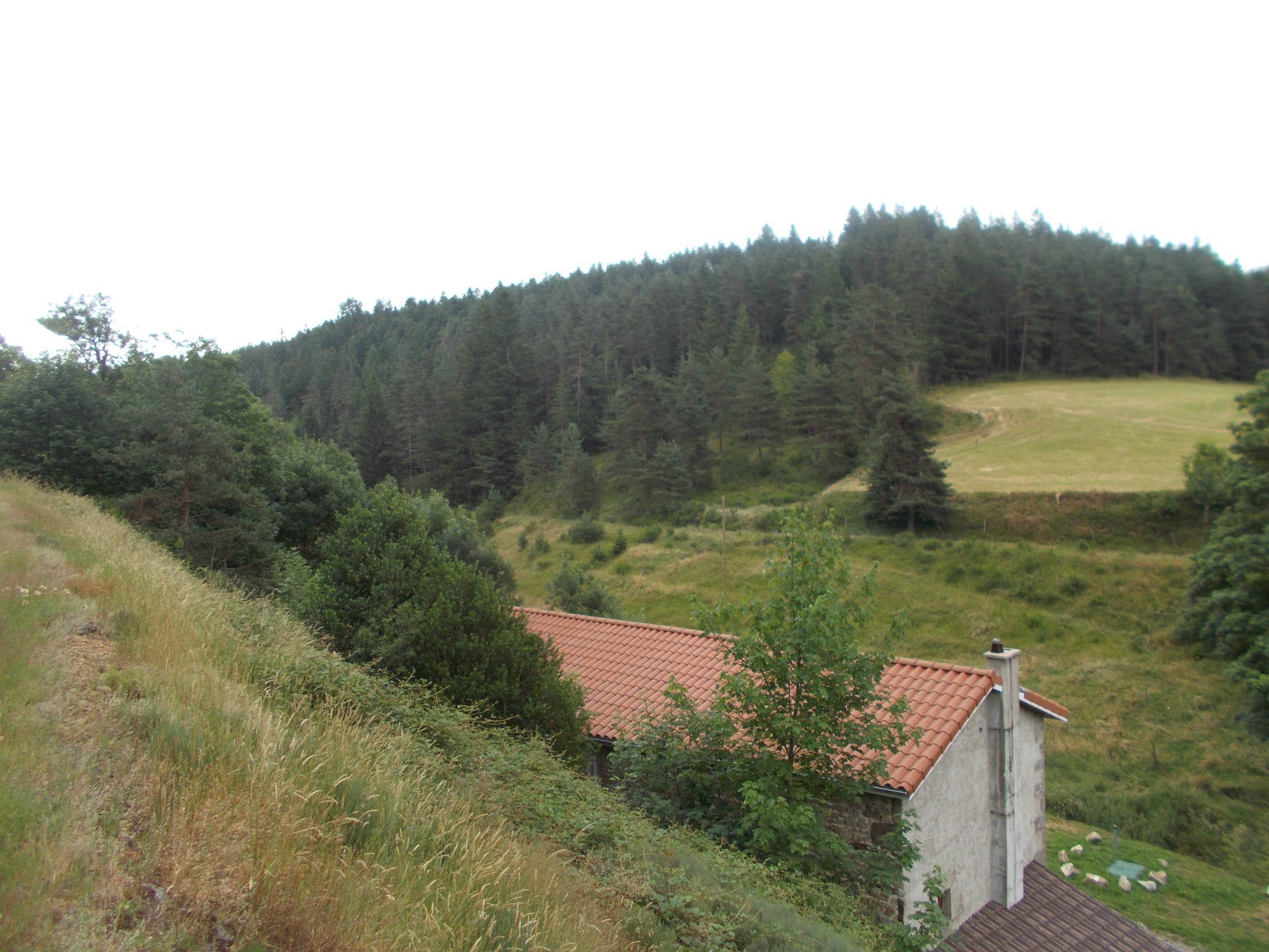Maison en pierre entièrement rénovée  avec dépendances et grand terrain