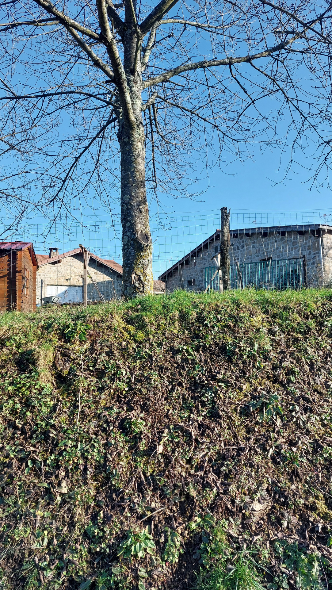MAISON INDIVIDUELLE EN PIERRE ET BATIMENT FERME AUBERGE