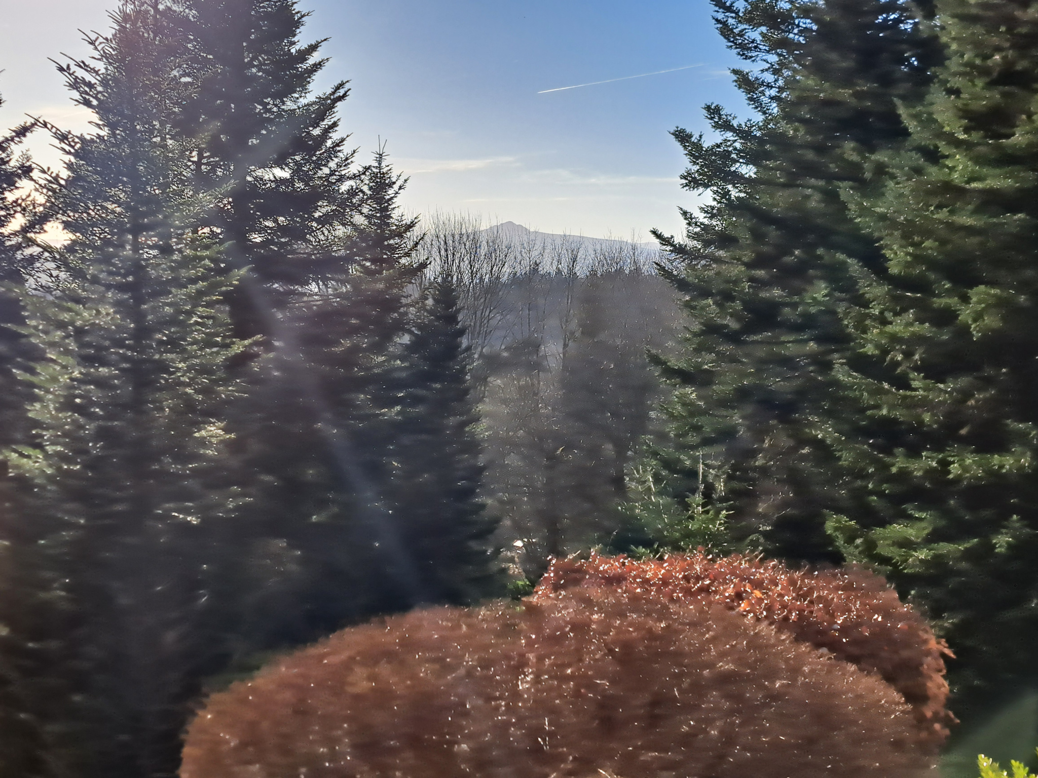 Petite maison d'artisan sur 2000 m2