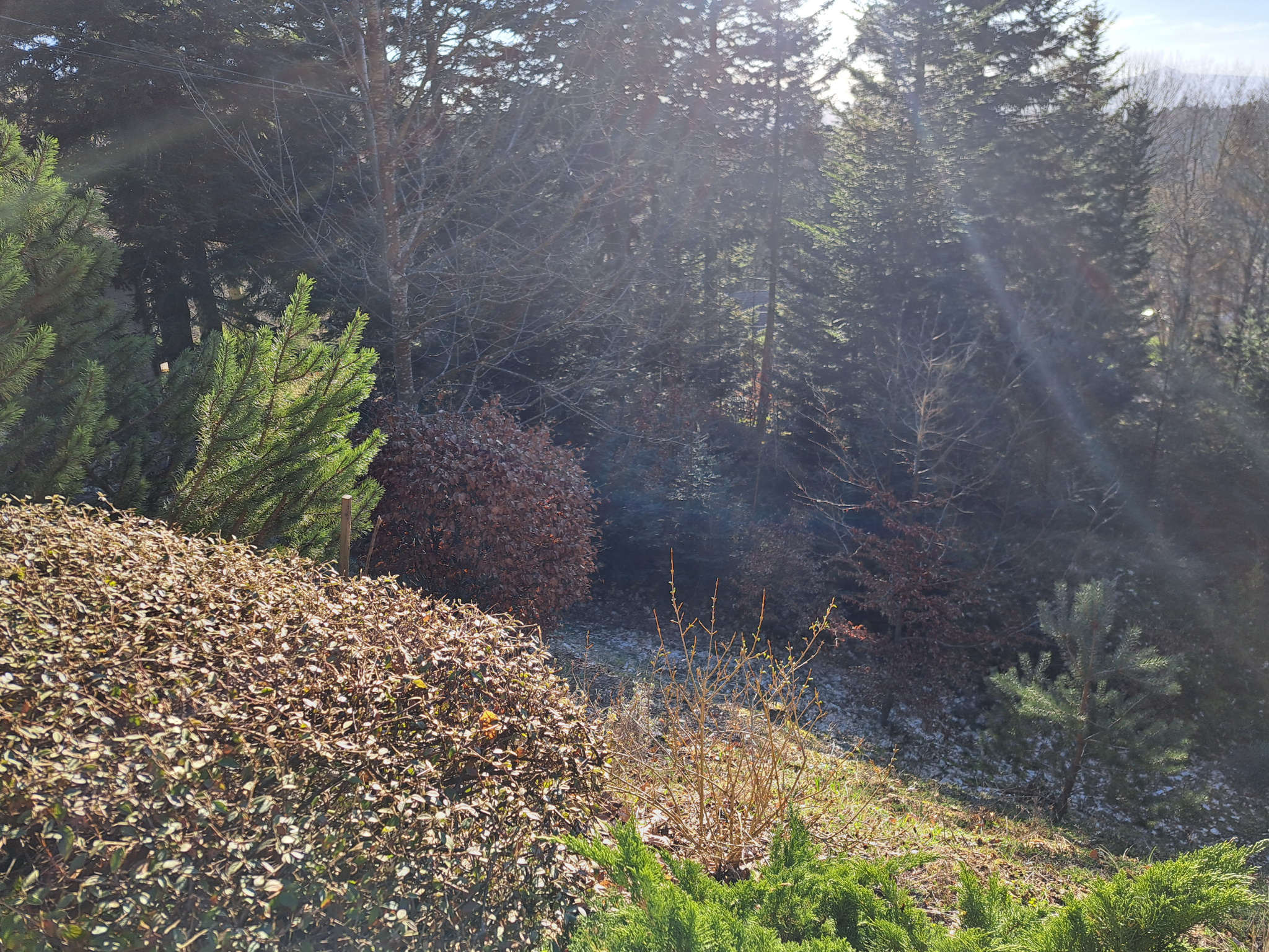 Petite maison d'artisan sur 2000 m2