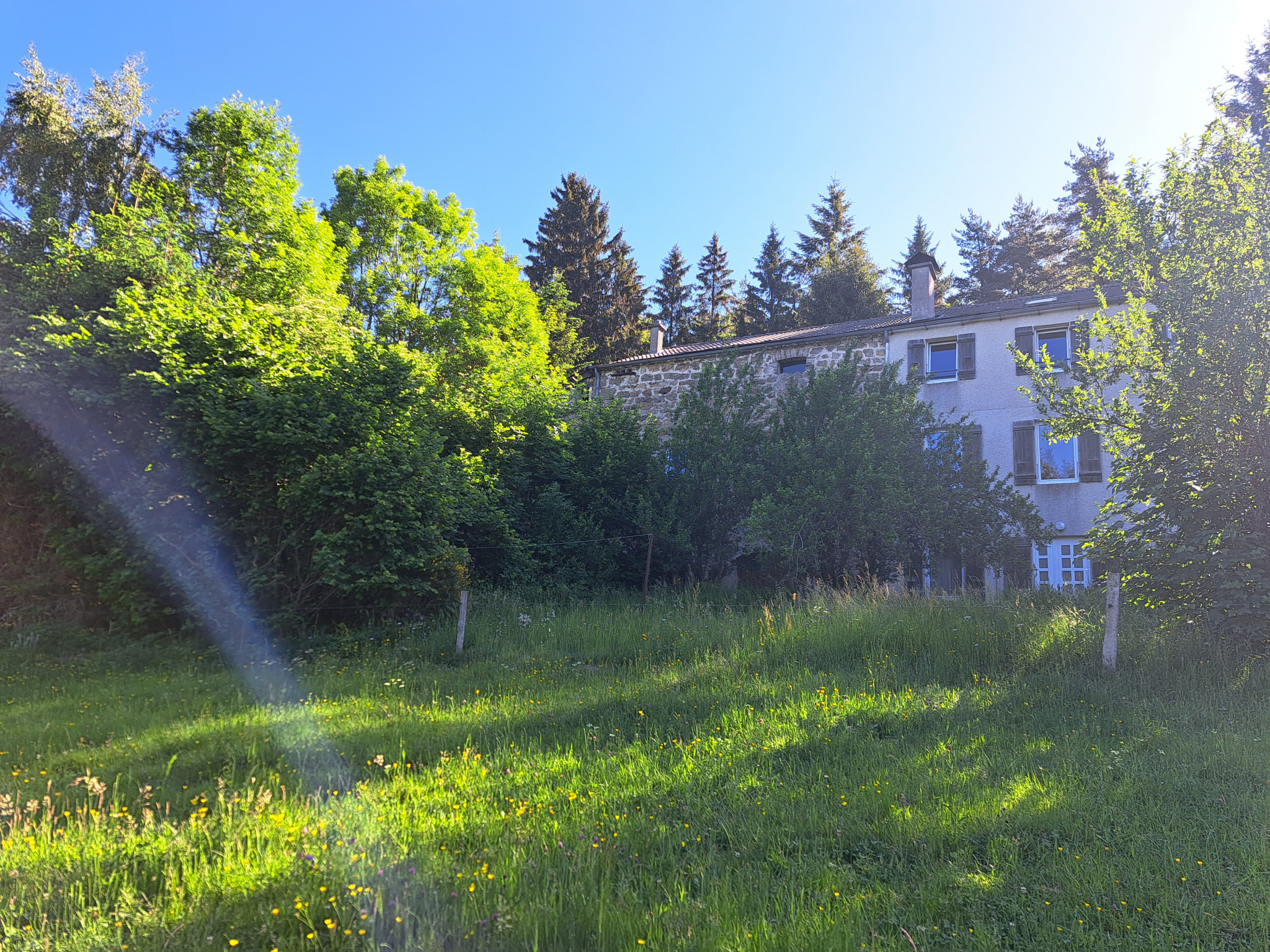 Ancienne ferme/pension de famille en pierre sur plus d'1 hectare de terrain