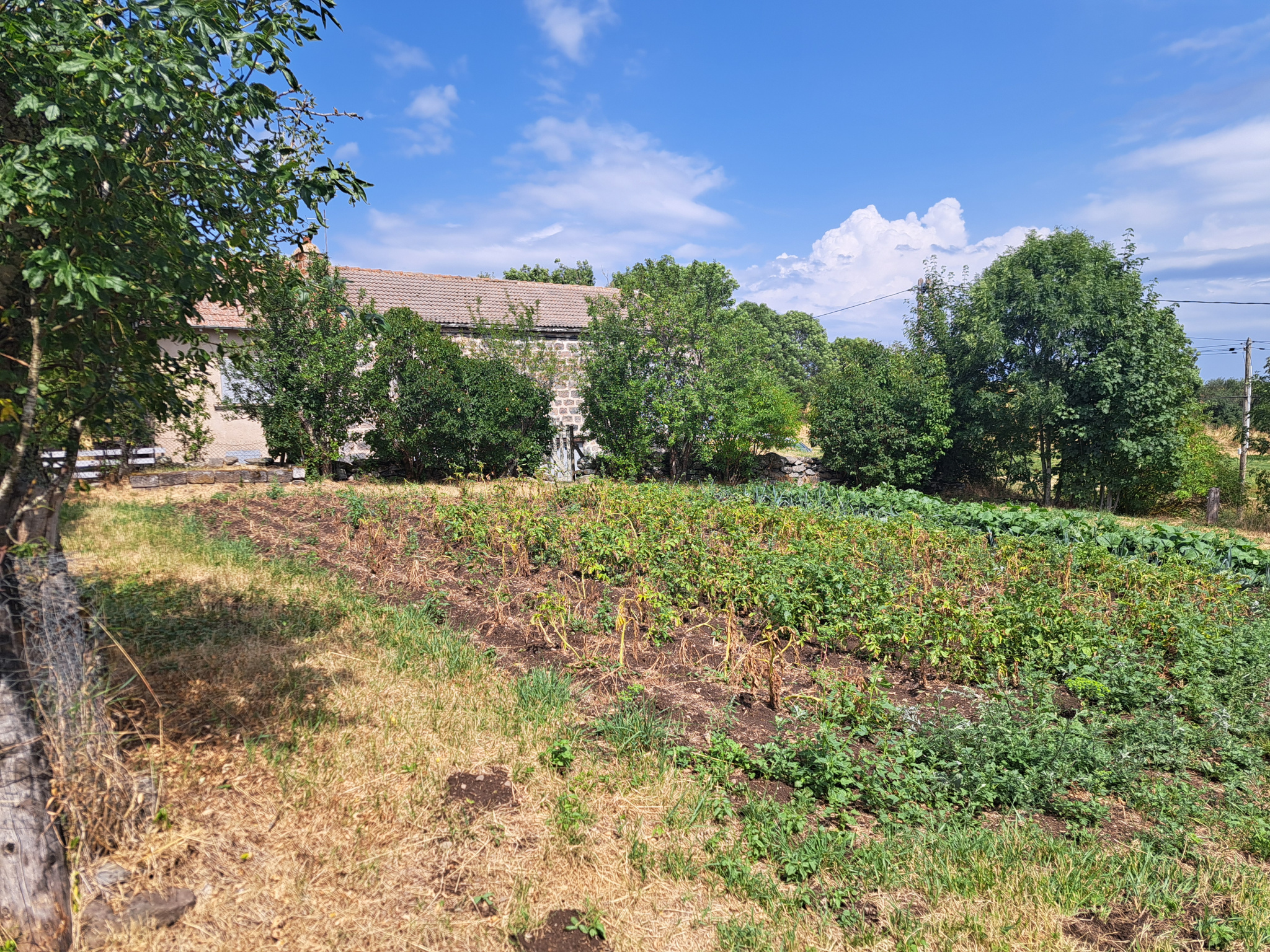 Ancienne ferme commune du Mazet st voy