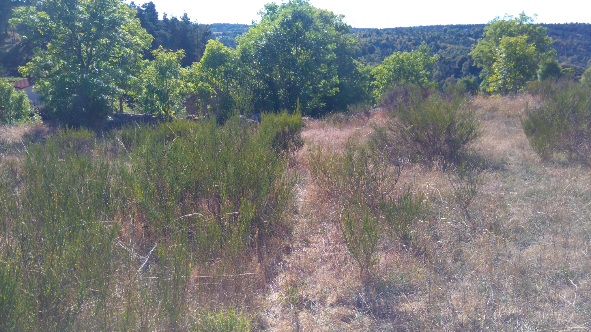 Joli terrain constructible, proche du Lac de Naussac