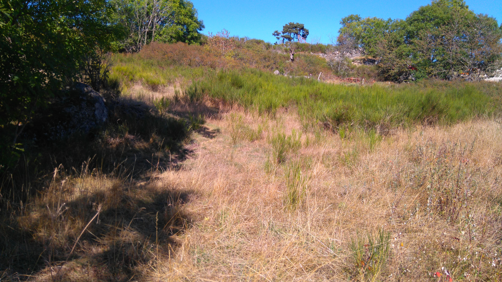 Joli terrain constructible, proche du Lac de Naussac