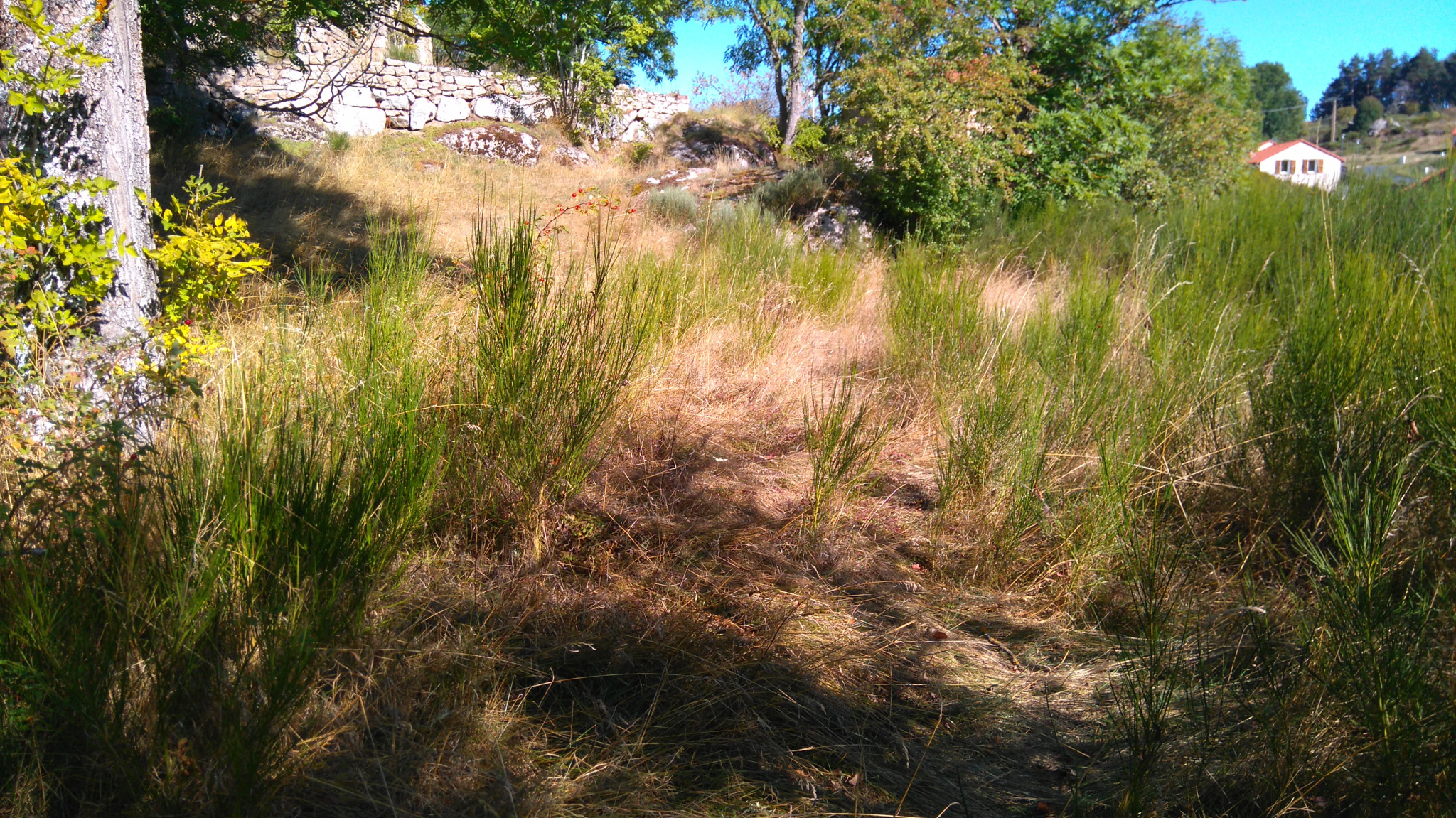 Joli terrain constructible, proche du Lac de Naussac