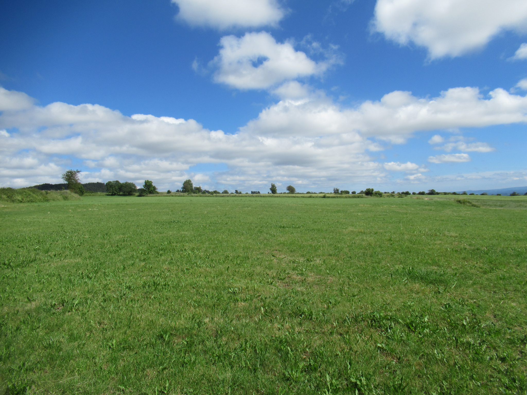 Ancienne ferme avec toiture en bon état