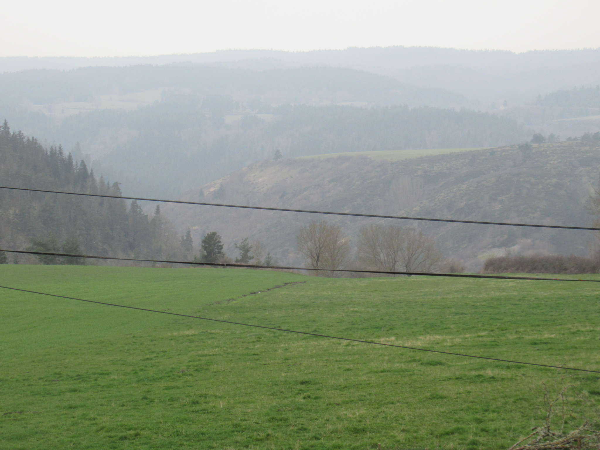 Jolie maison en pierres