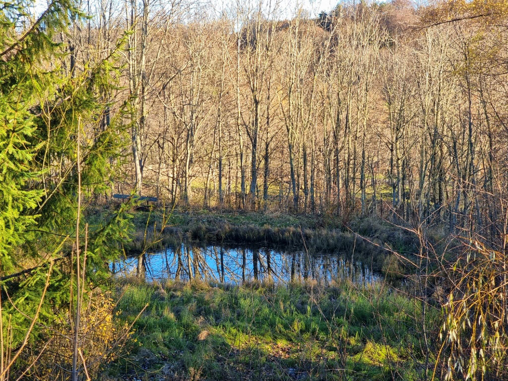 Auberge de campagne murs et fonds avec logement