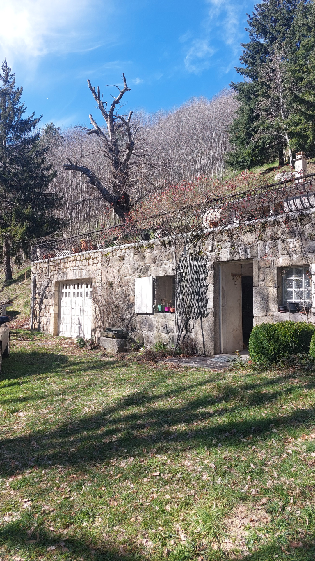 Maison en pierre avec grand terrain