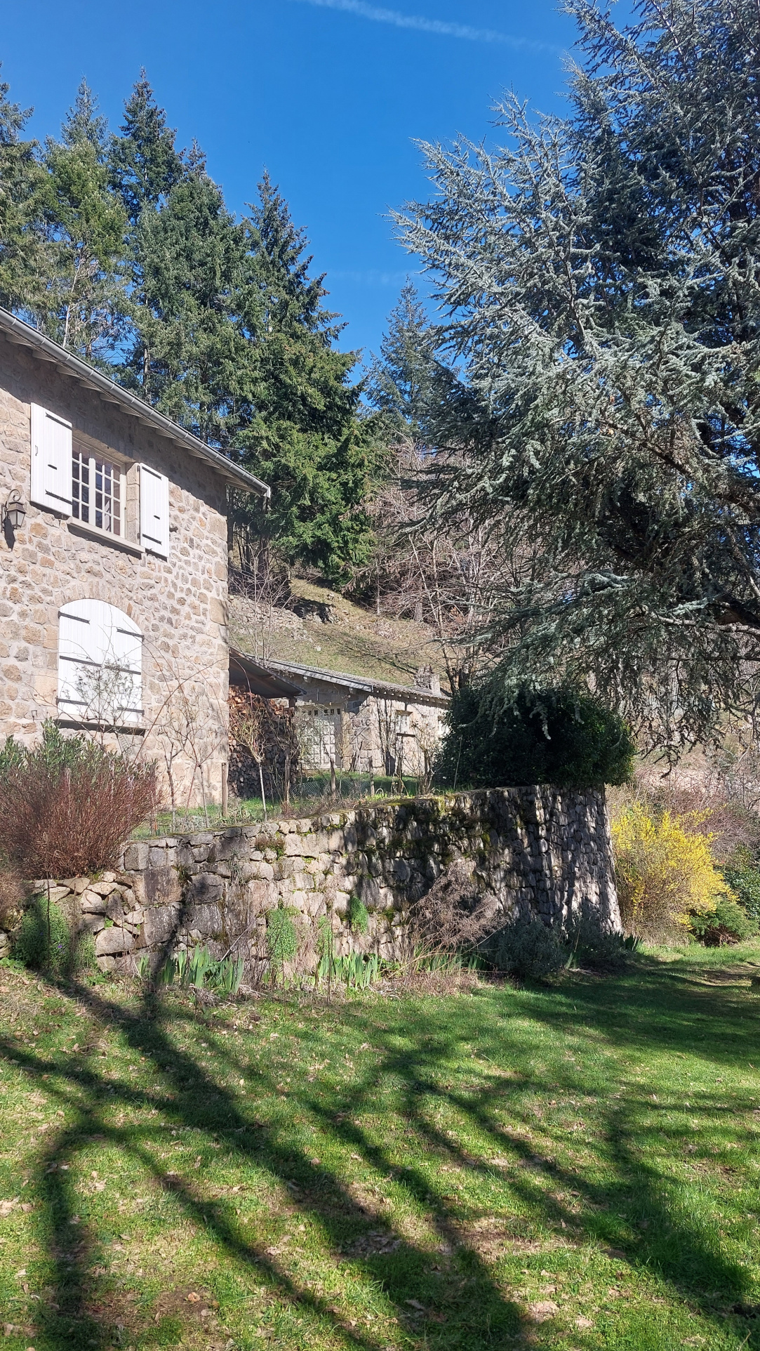 Maison en pierre avec grand terrain