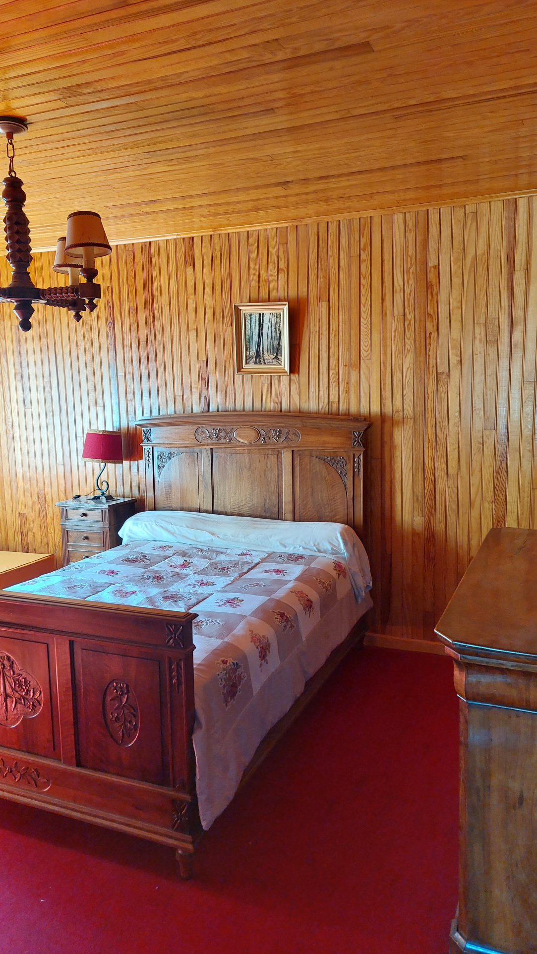 Maison en pierre avec grand terrain