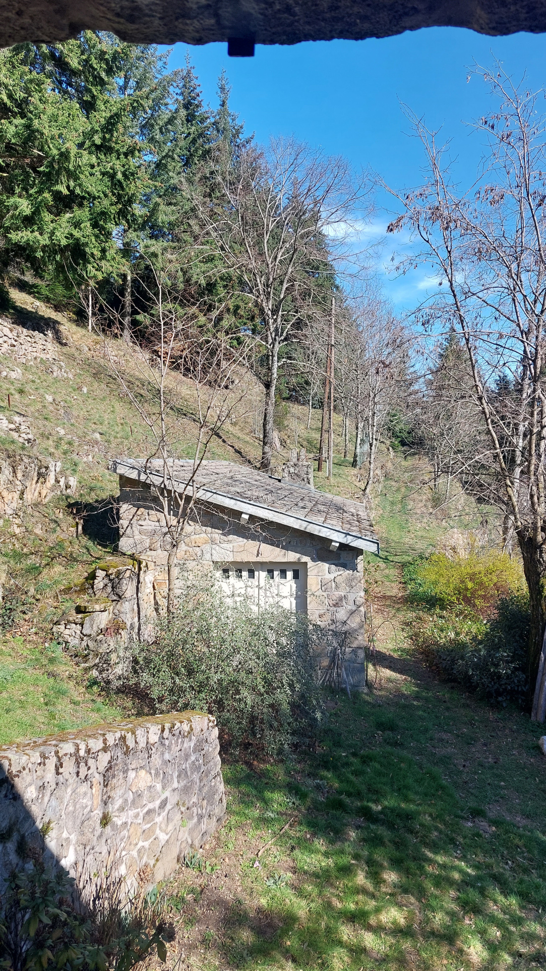Maison en pierre avec grand terrain