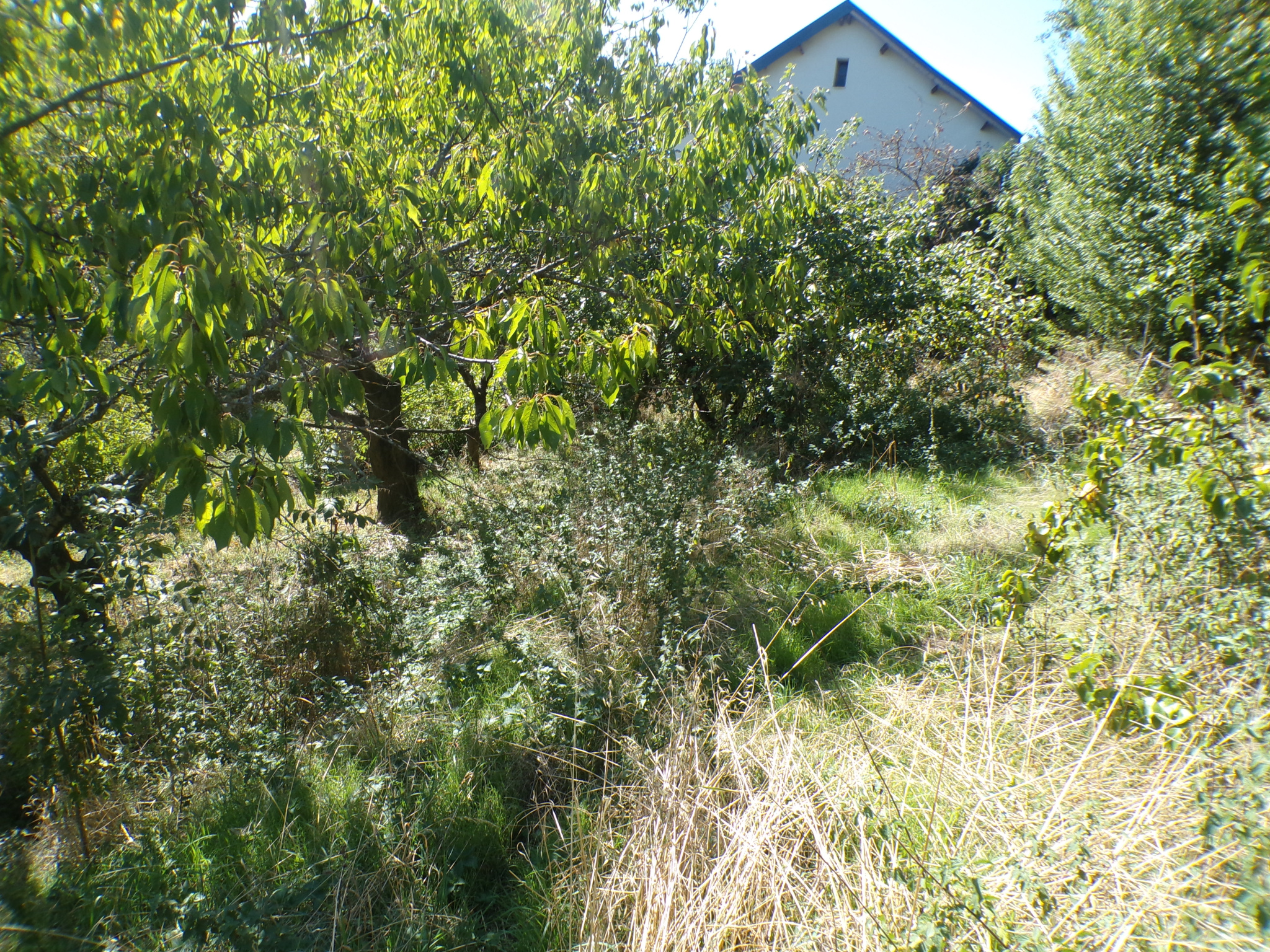 TERRAIN CONSTRUCTIBLE