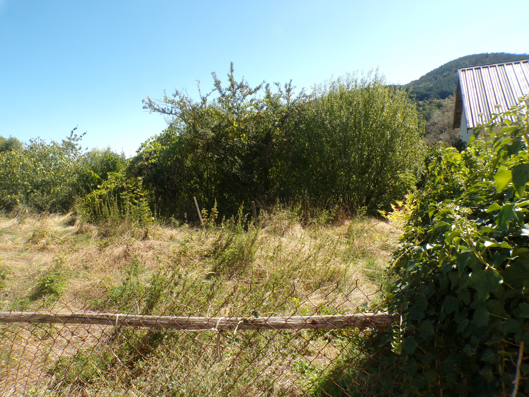 TERRAIN CONSTRUCTIBLE