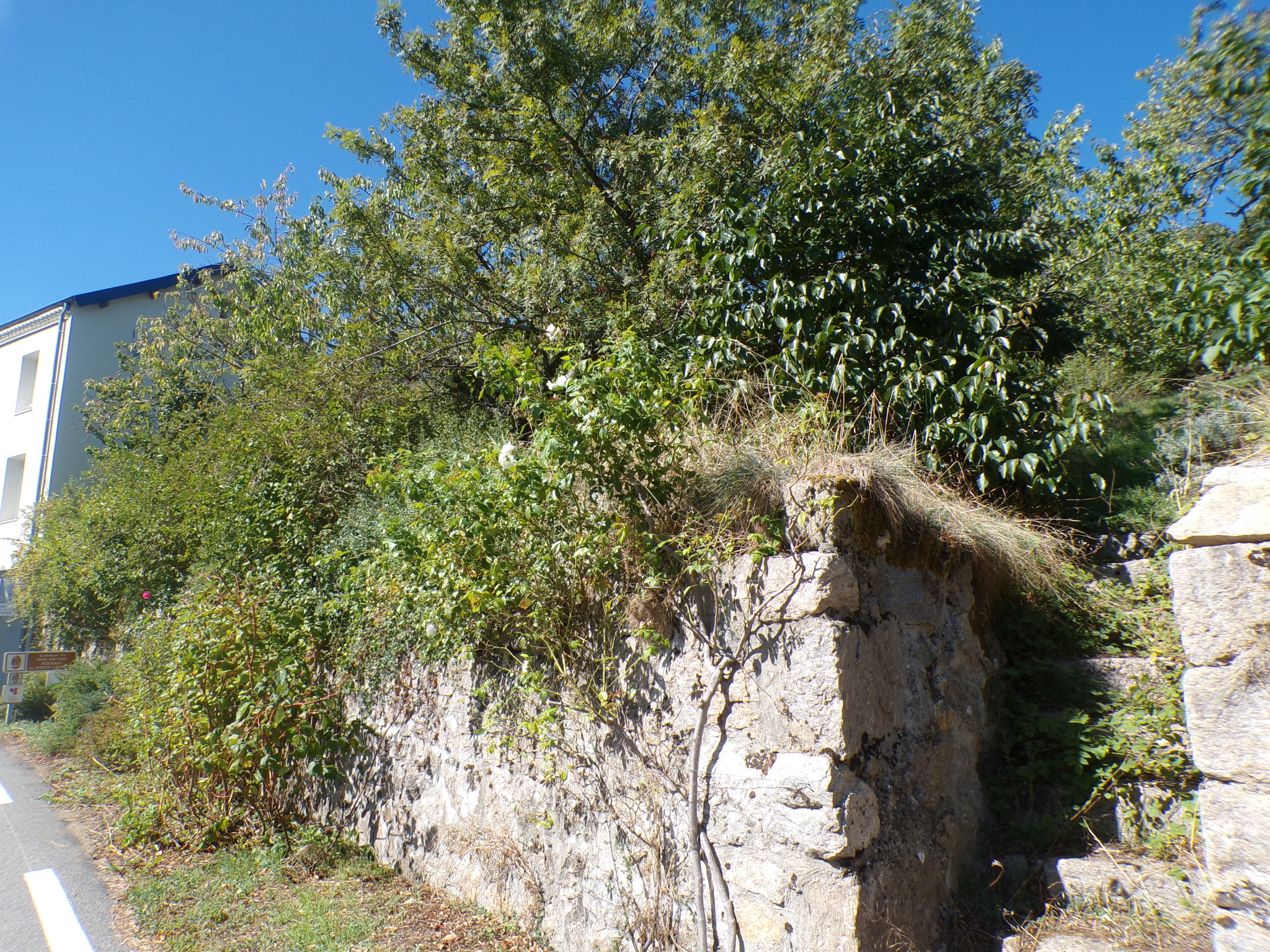 TERRAIN CONSTRUCTIBLE