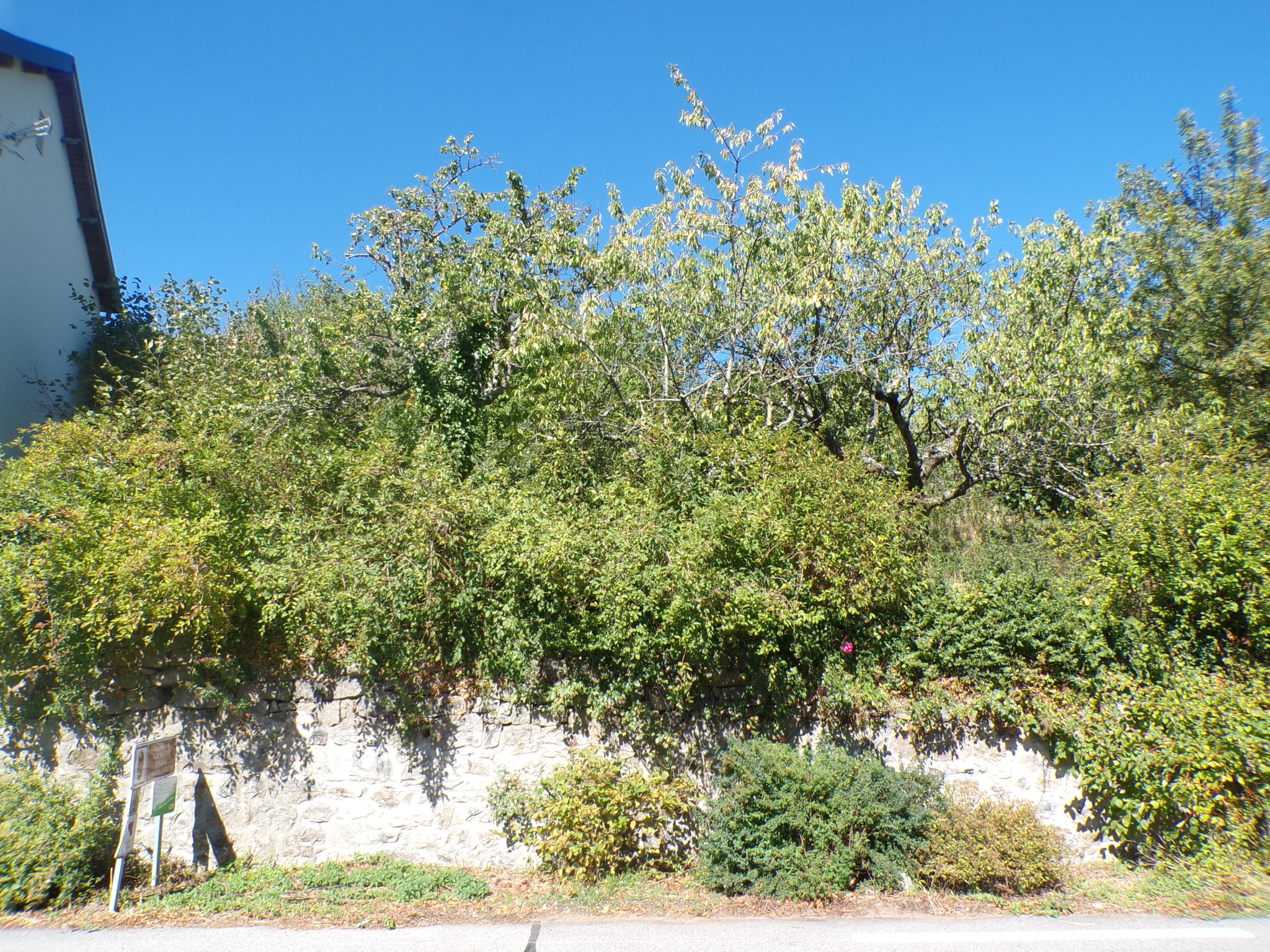 TERRAIN CONSTRUCTIBLE