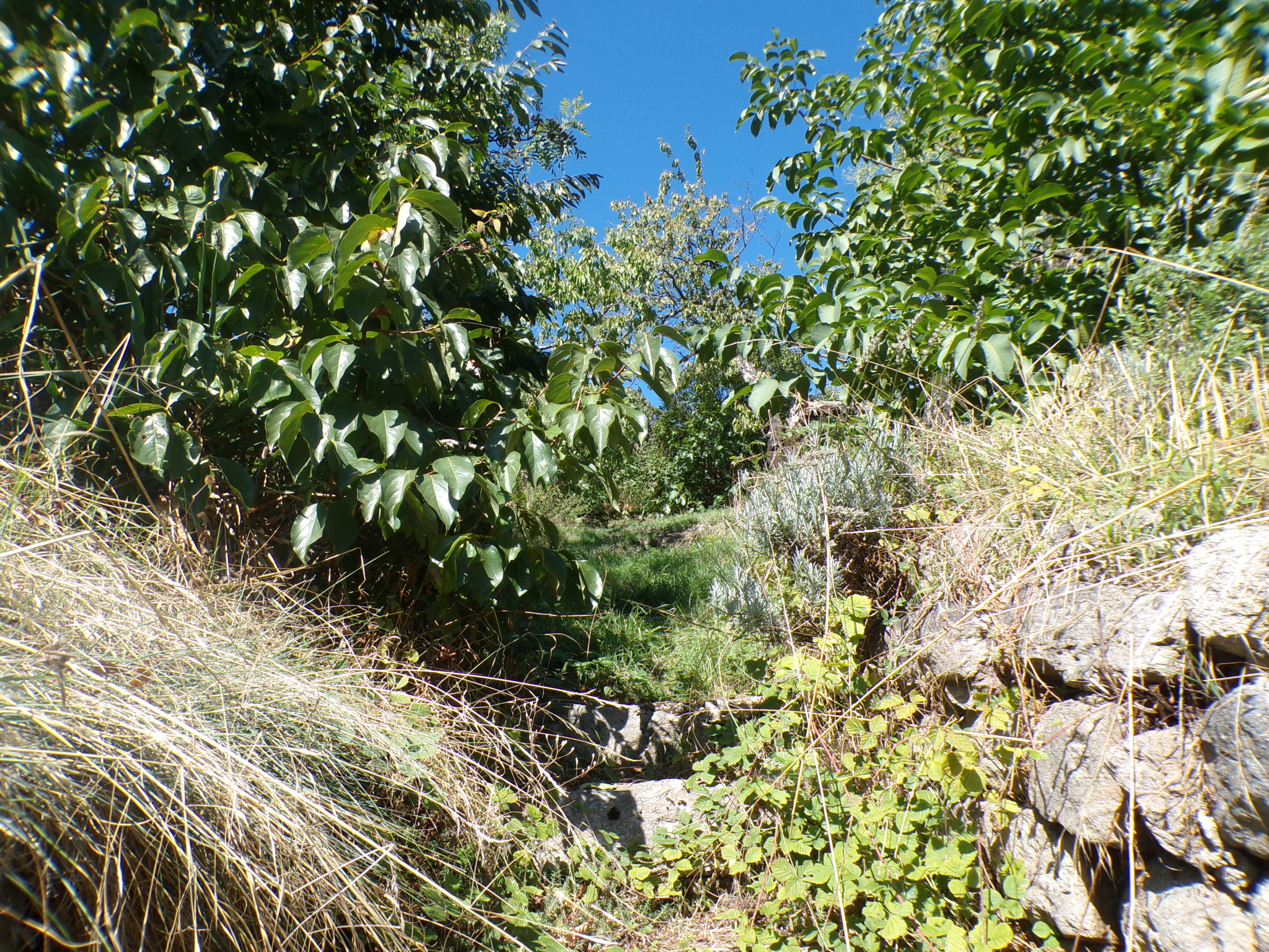 TERRAIN CONSTRUCTIBLE