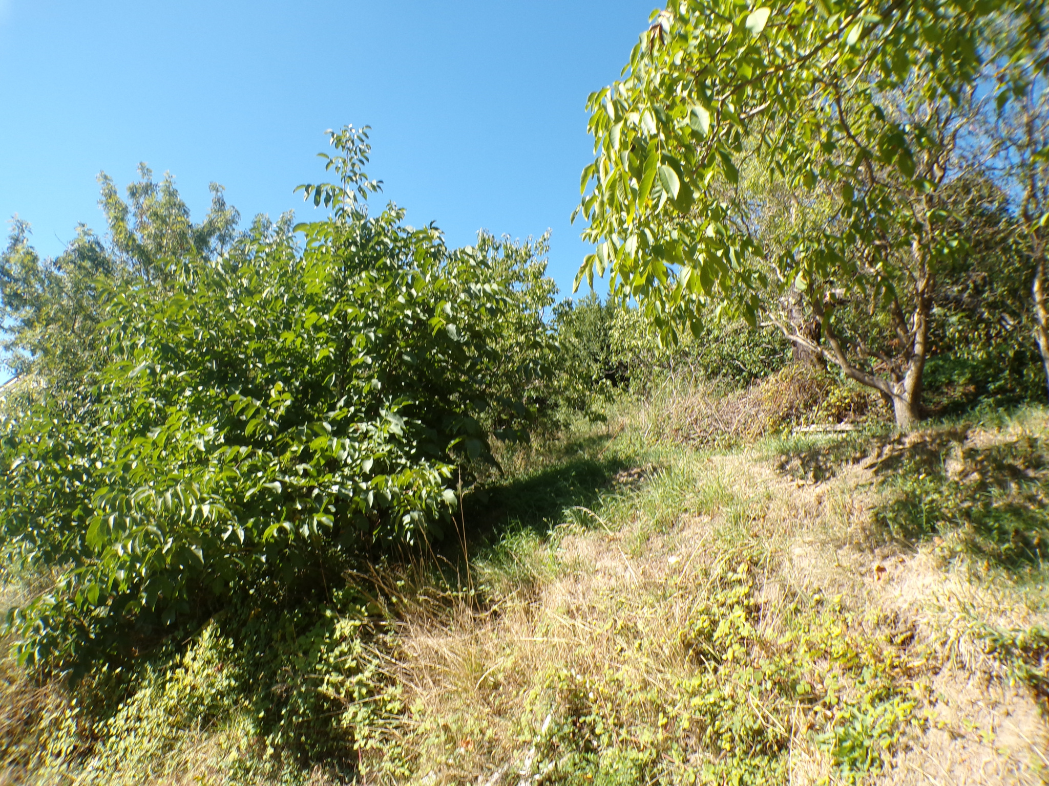 TERRAIN CONSTRUCTIBLE