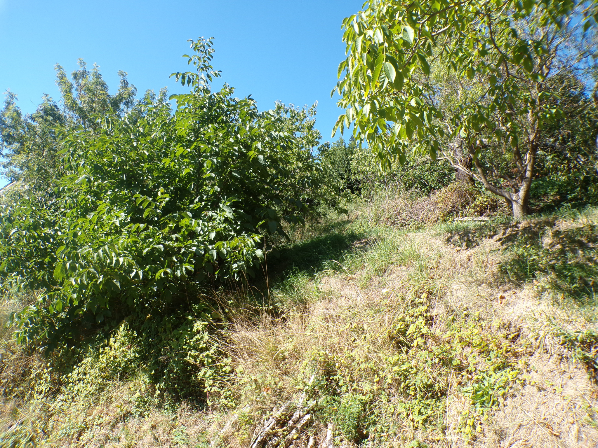 TERRAIN CONSTRUCTIBLE