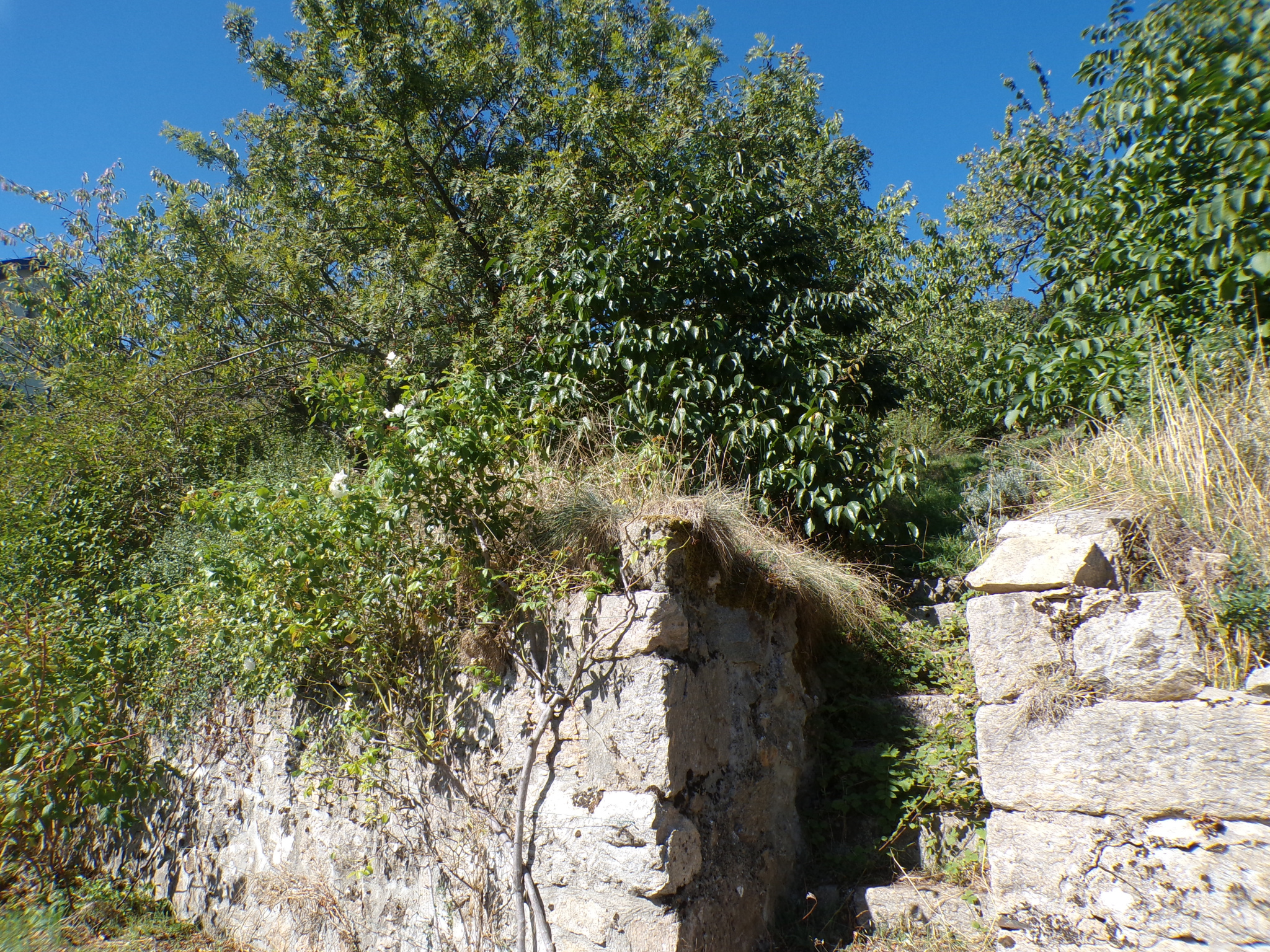 TERRAIN CONSTRUCTIBLE