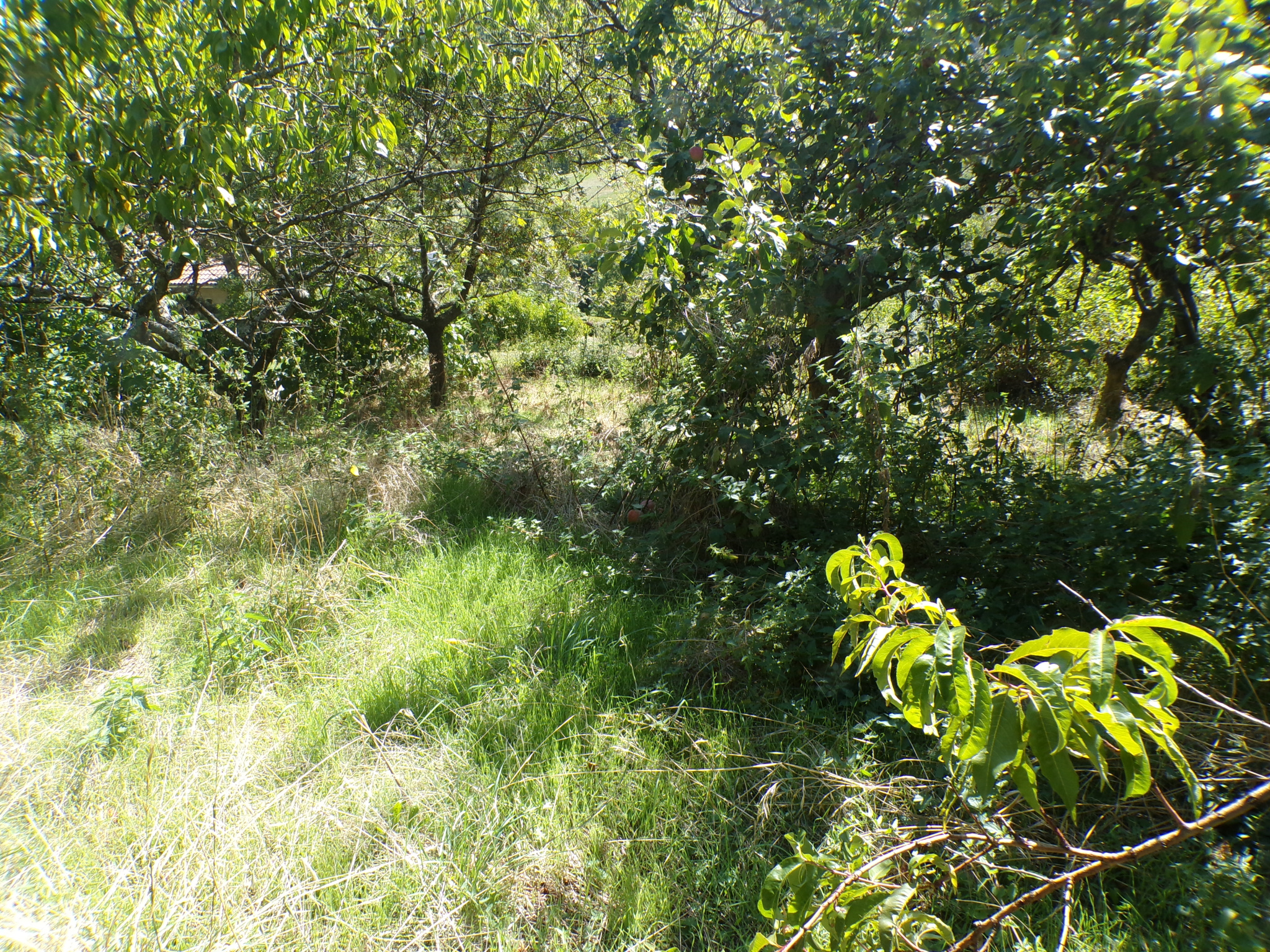 TERRAIN CONSTRUCTIBLE