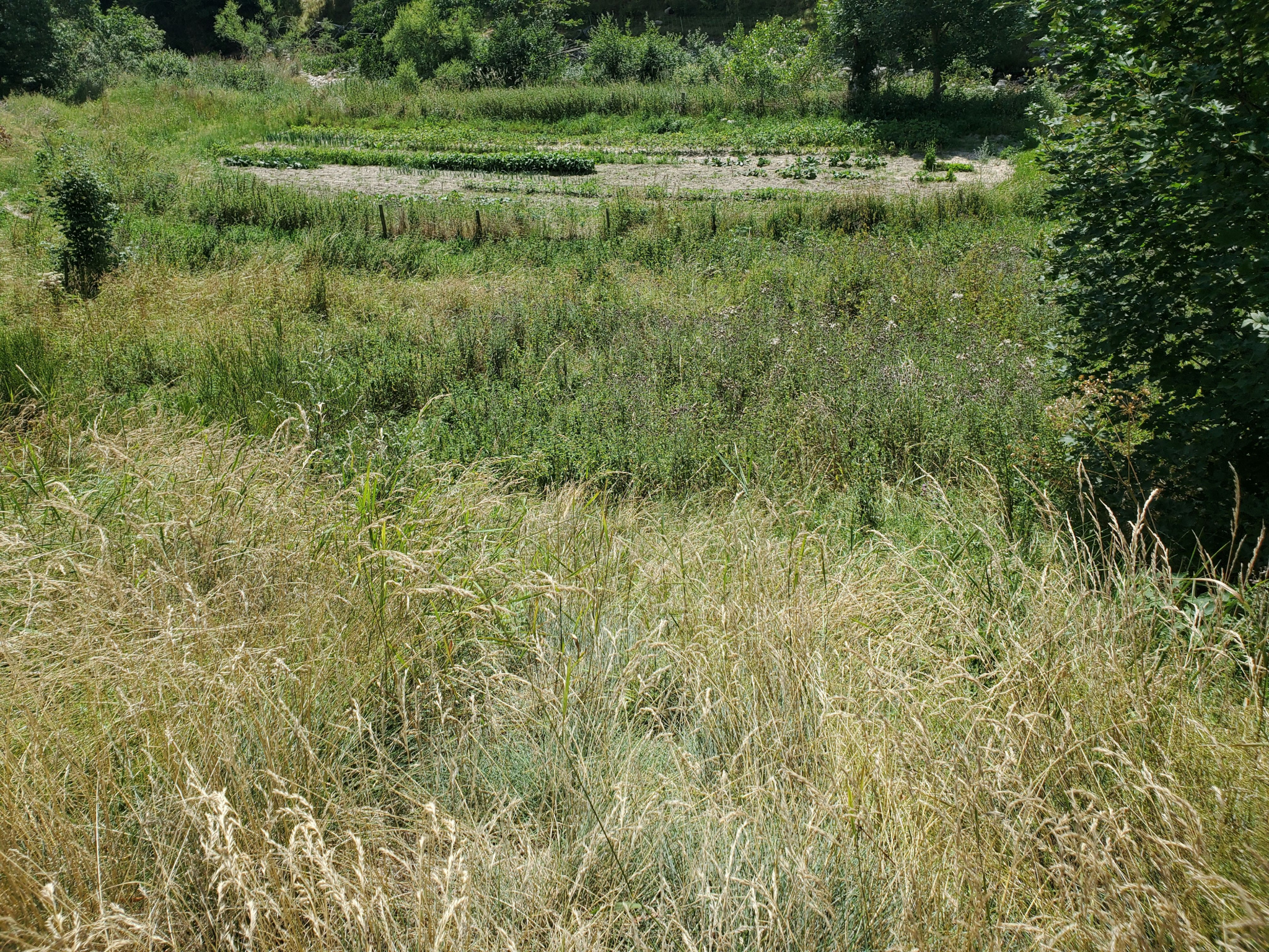 Terrain constructible