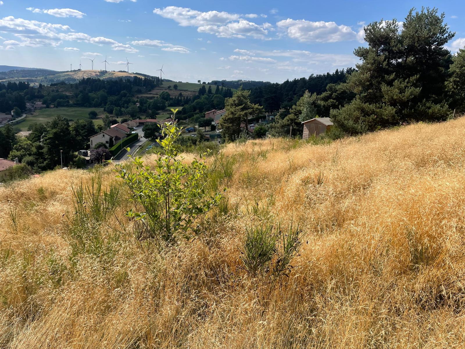 Terrain constructible de 1375 avec trés belle vue dégagée
